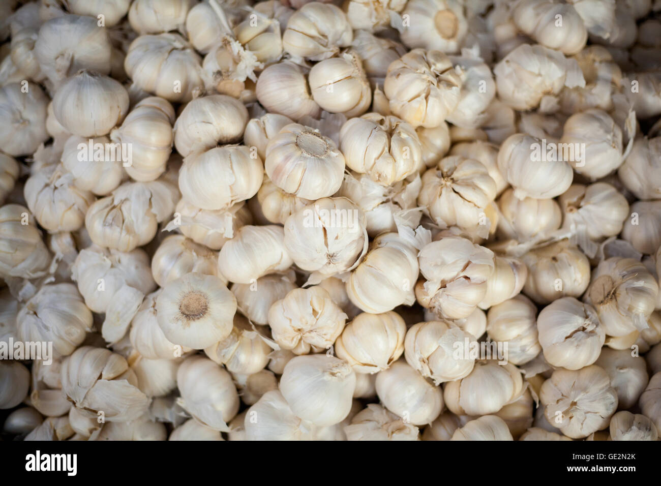Selection of fresh garlic cloves. Traditional thai market Stock Photo