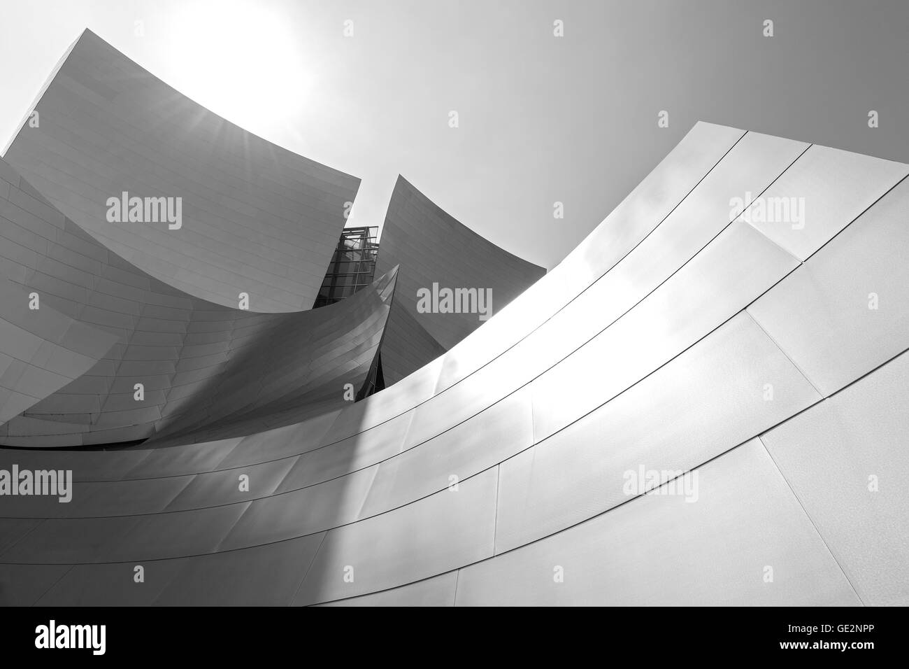 Walt Disney Concert Hall designed by architect Frank Gehry. Stock Photo