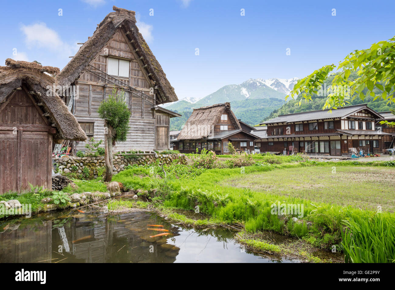 Historical Japanese Village Shirakawago in spring, travel landmark of
