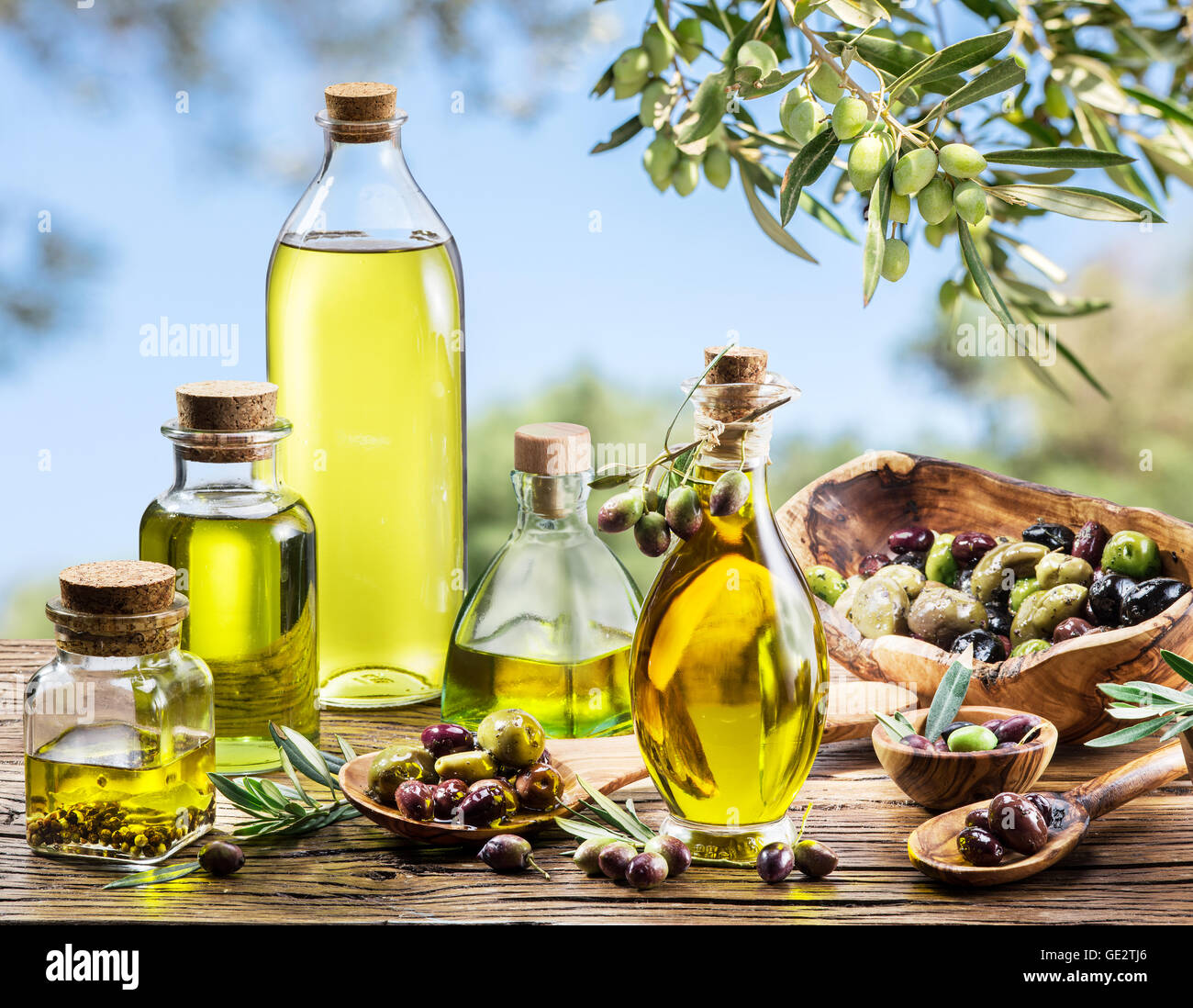 Bottles of olive oil on the old wooden table under olive tree. Blue sky on the background. Stock Photo