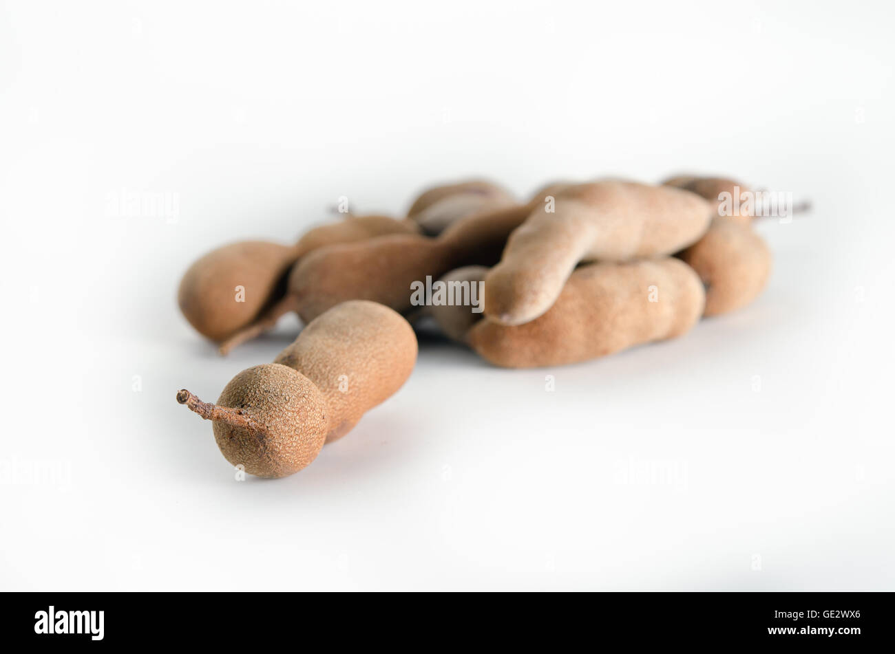Tamarind (Other names are Cucurbitaceae, bitter gourd, balsam apple