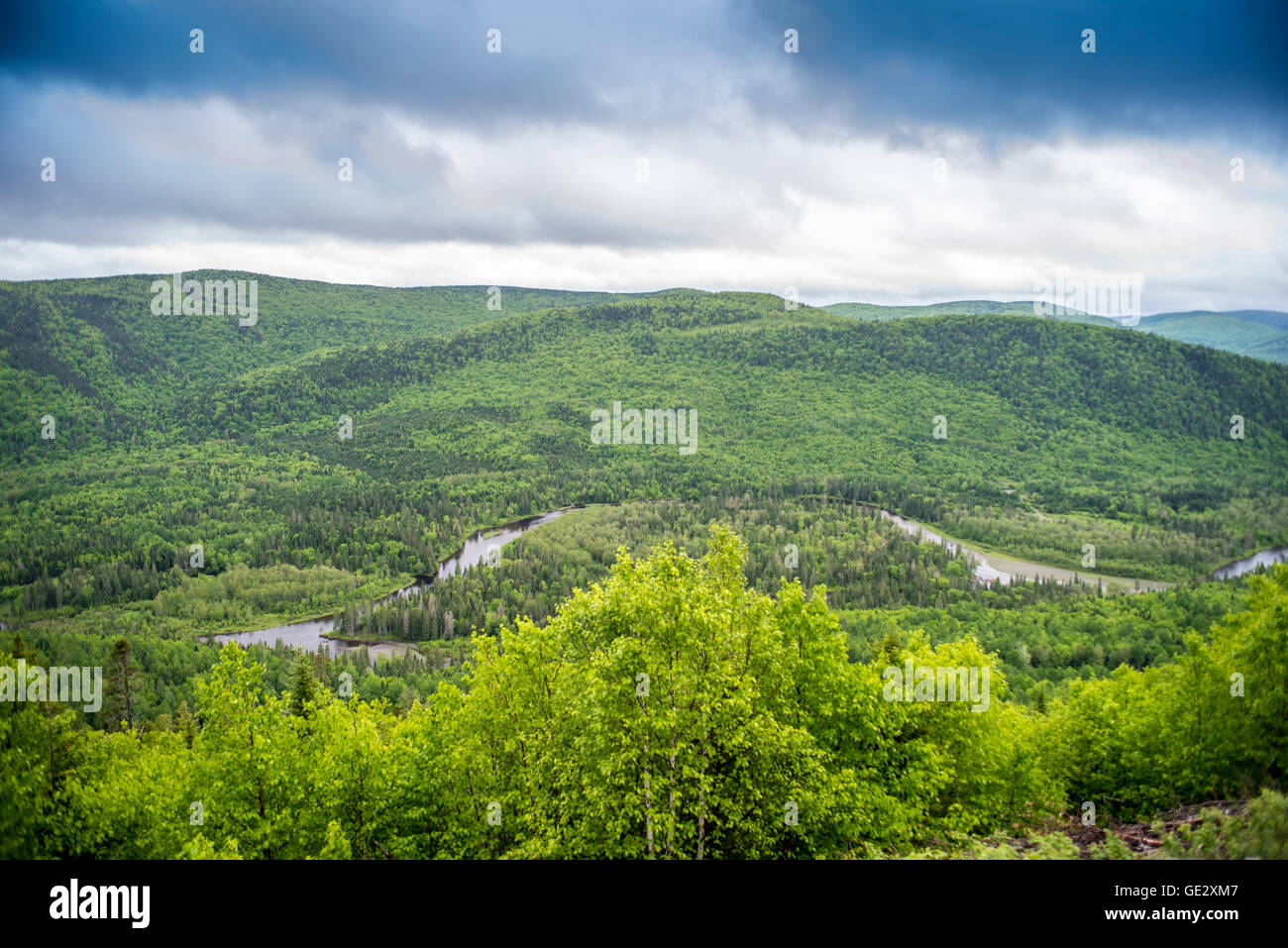 House For Rent Kedgwick River at Evie Noble blog