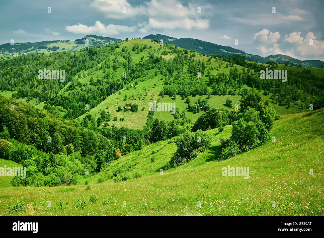 On top of a green hill, sunny summer day with cloudy sky Stock Photo ...