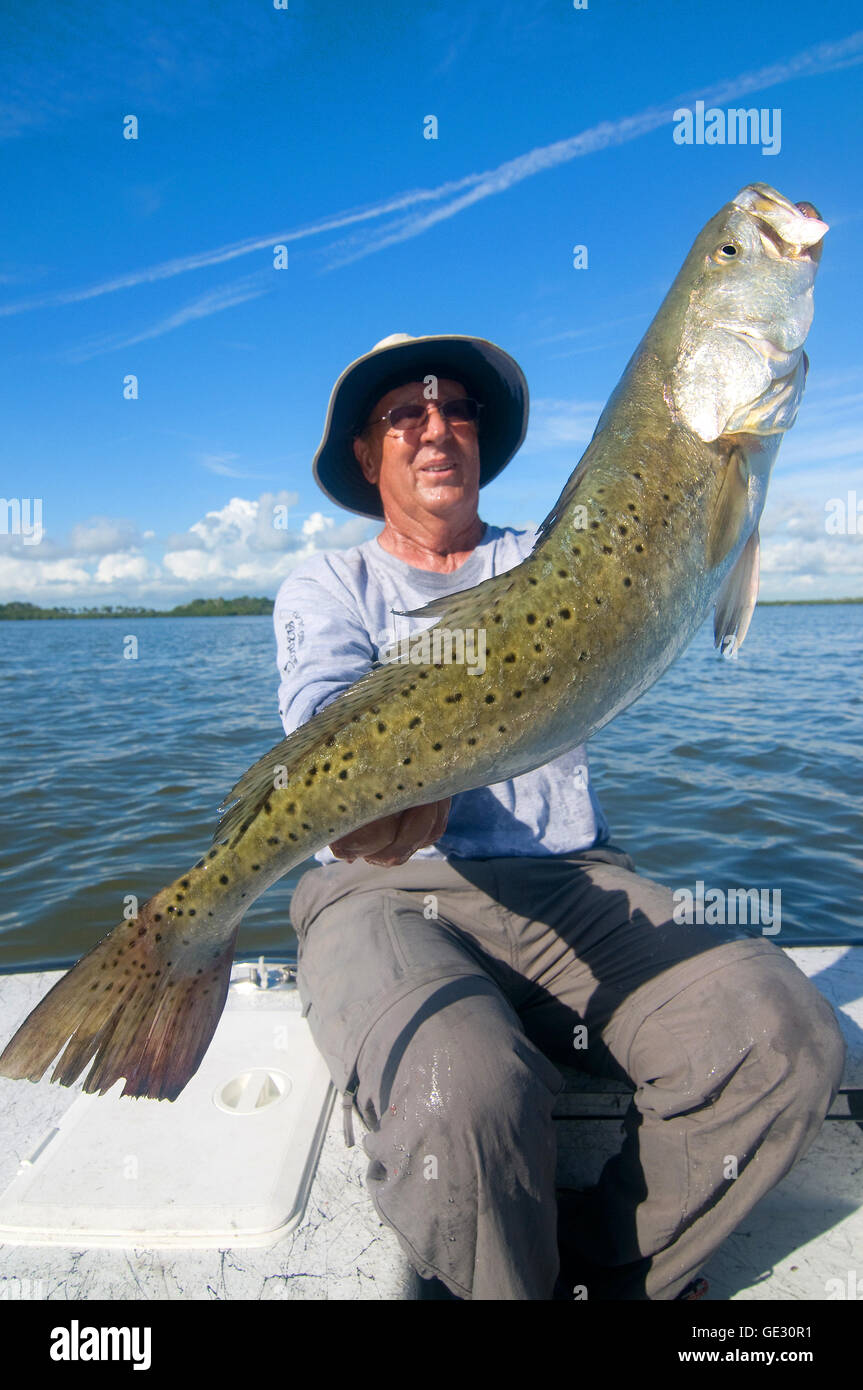 Big "Gator" trout are often caught in Florida's Mosquito Lagoon near