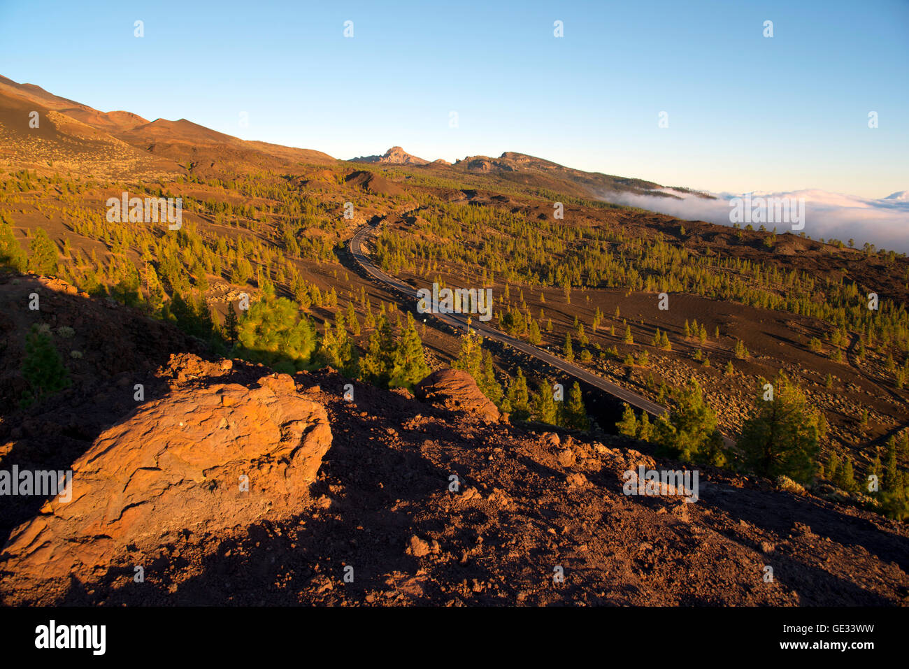 Chio Tenerife High Resolution Stock Photography And Images Alamy