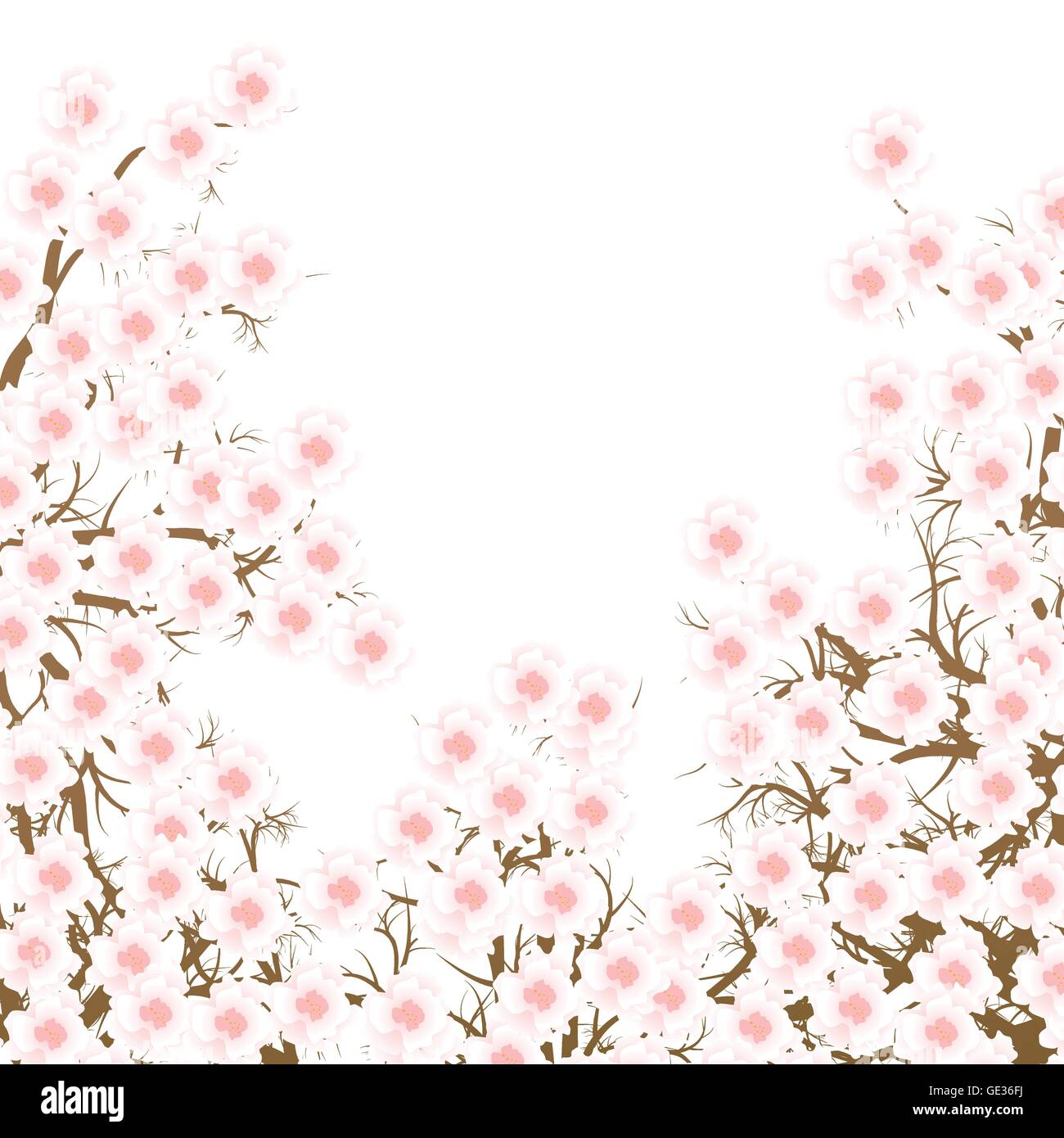Cherry blossom branch vector background for poster Stock Vector Image