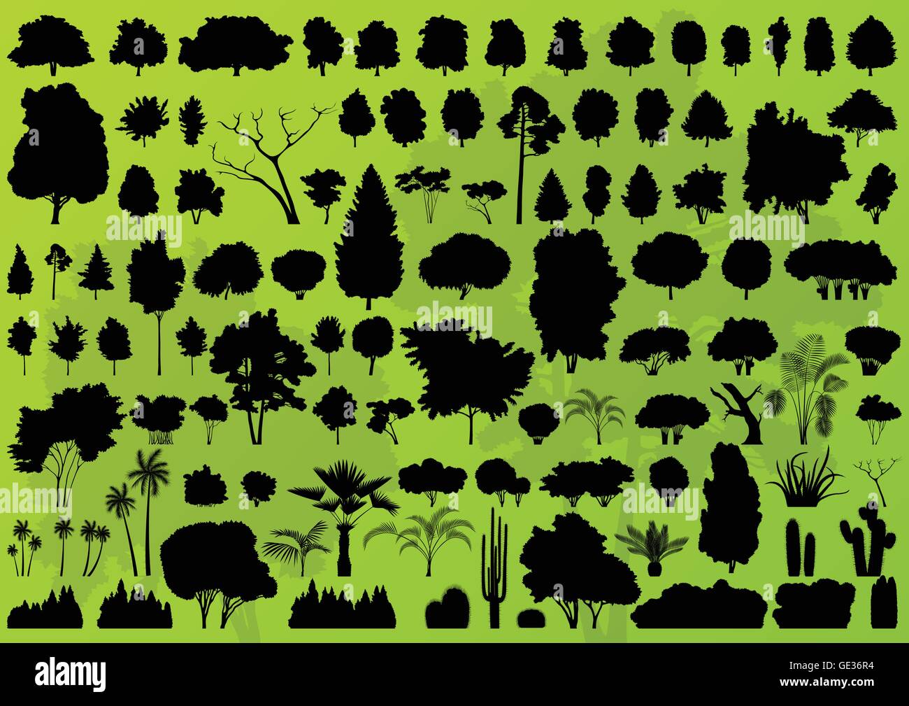 Forest trees silhouettes landscape illustration collection background ...