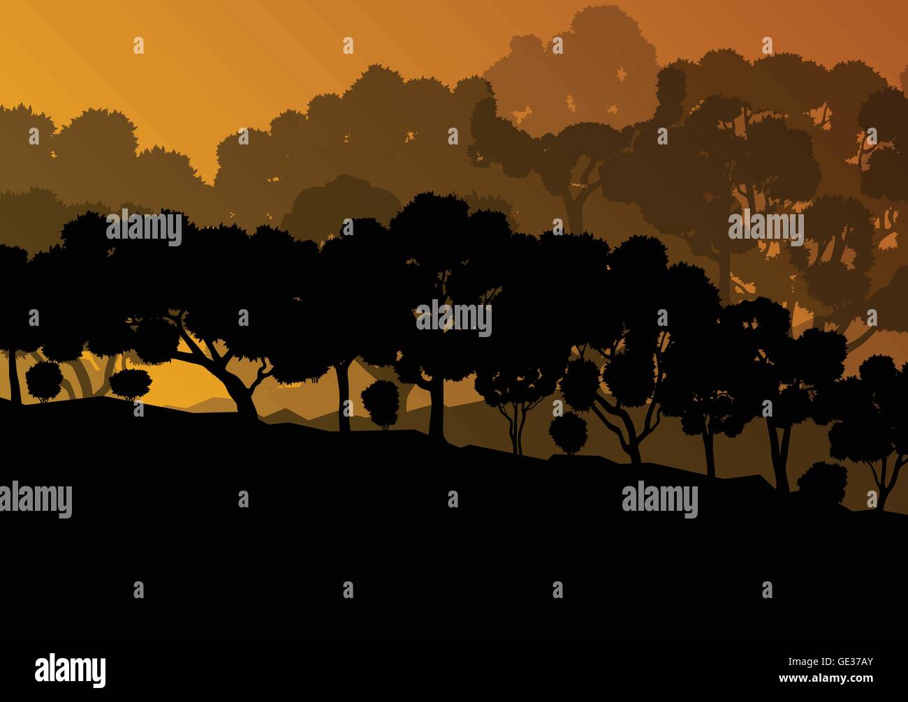 Ecology forest vector background concept with many detailed trees for ...