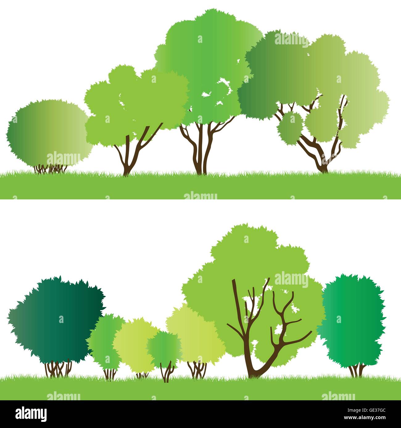Forest trees silhouettes illustration collection background vector for ...