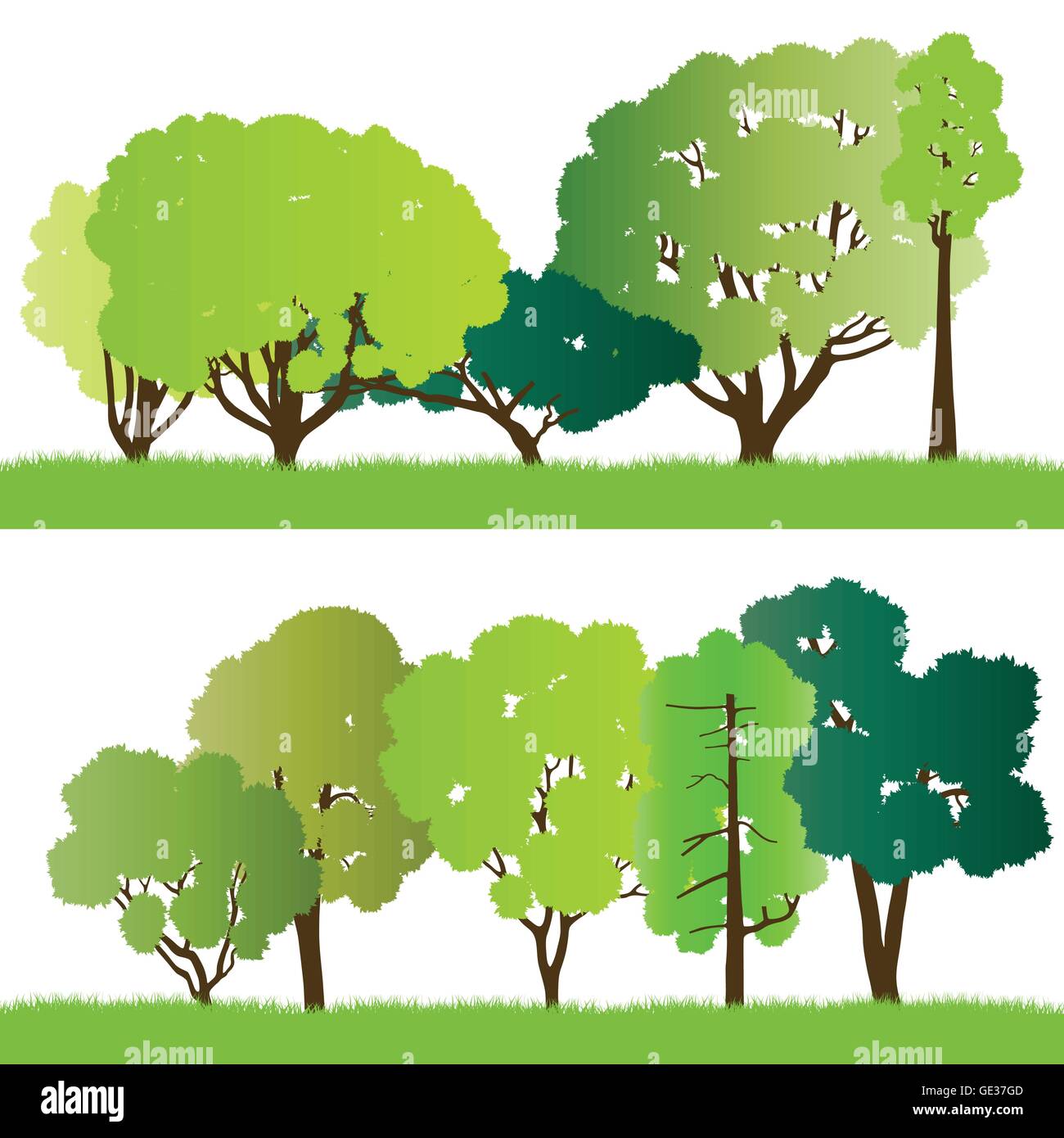 Forest trees silhouettes illustration collection background vector for ...