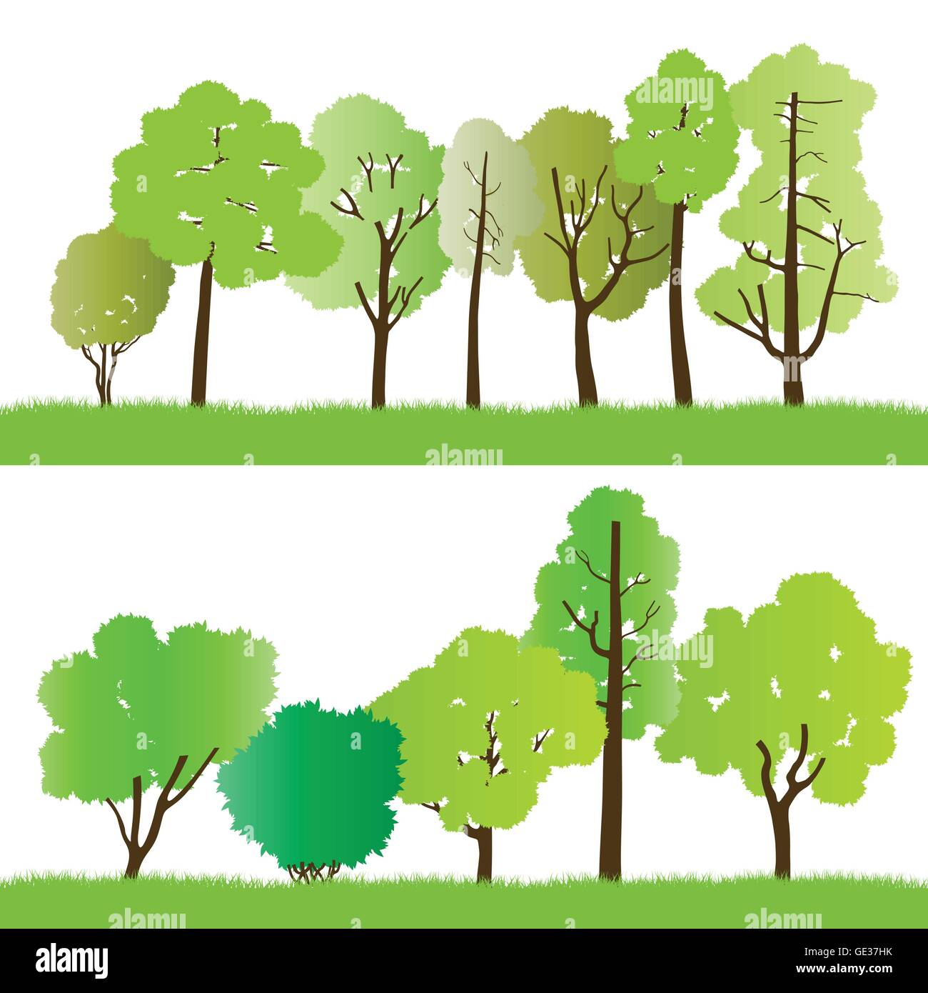 Forest trees silhouettes illustration collection background vector for ...
