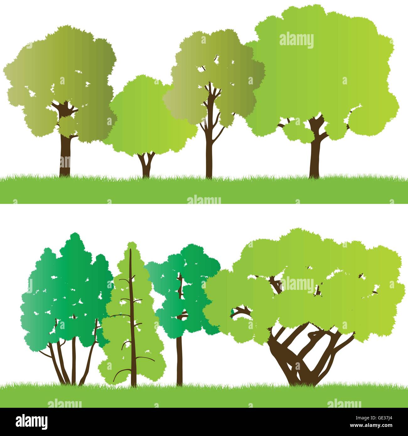 Forest trees silhouettes illustration collection background vector for ...