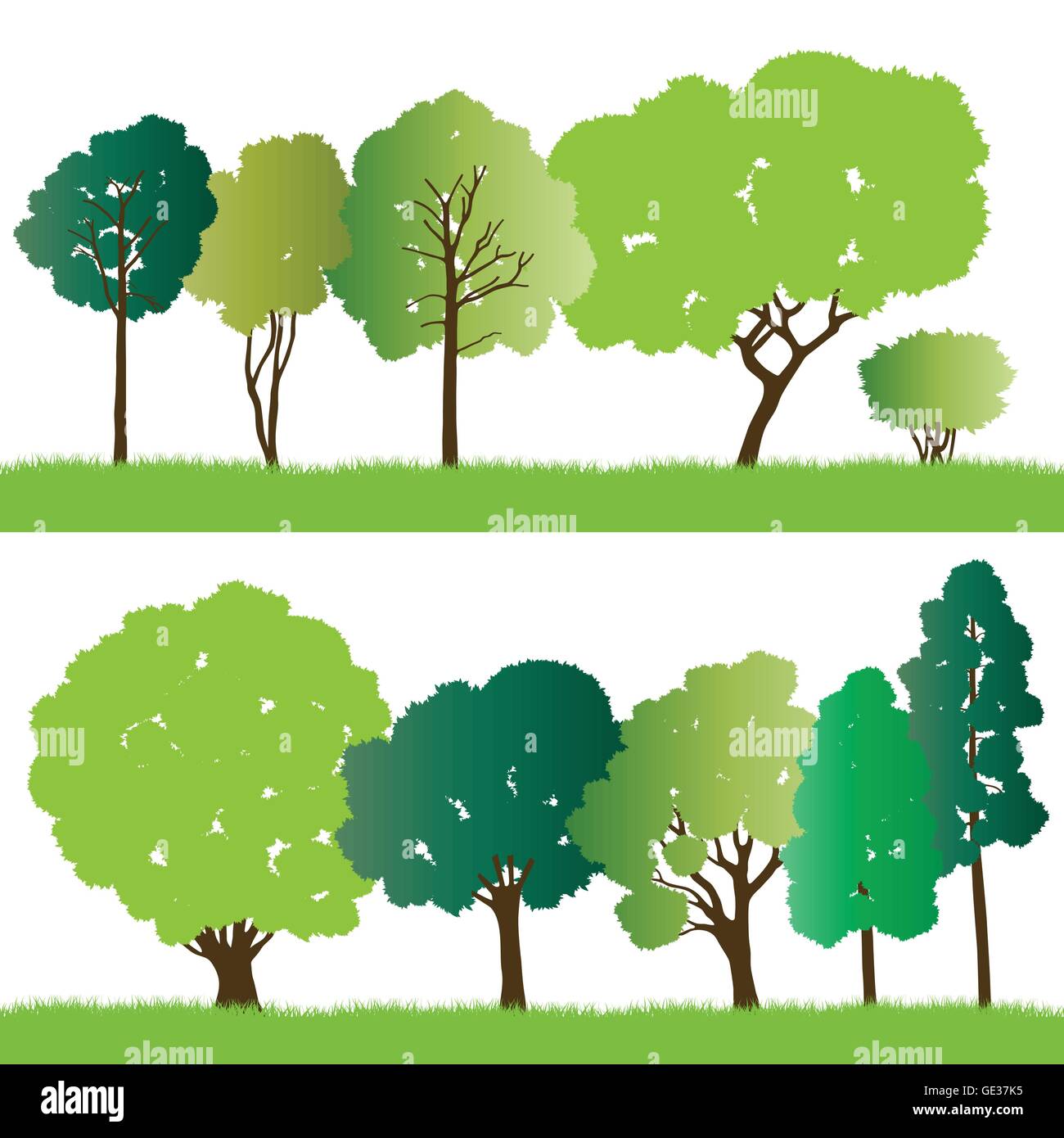 Forest trees silhouettes illustration collection background vector for ...