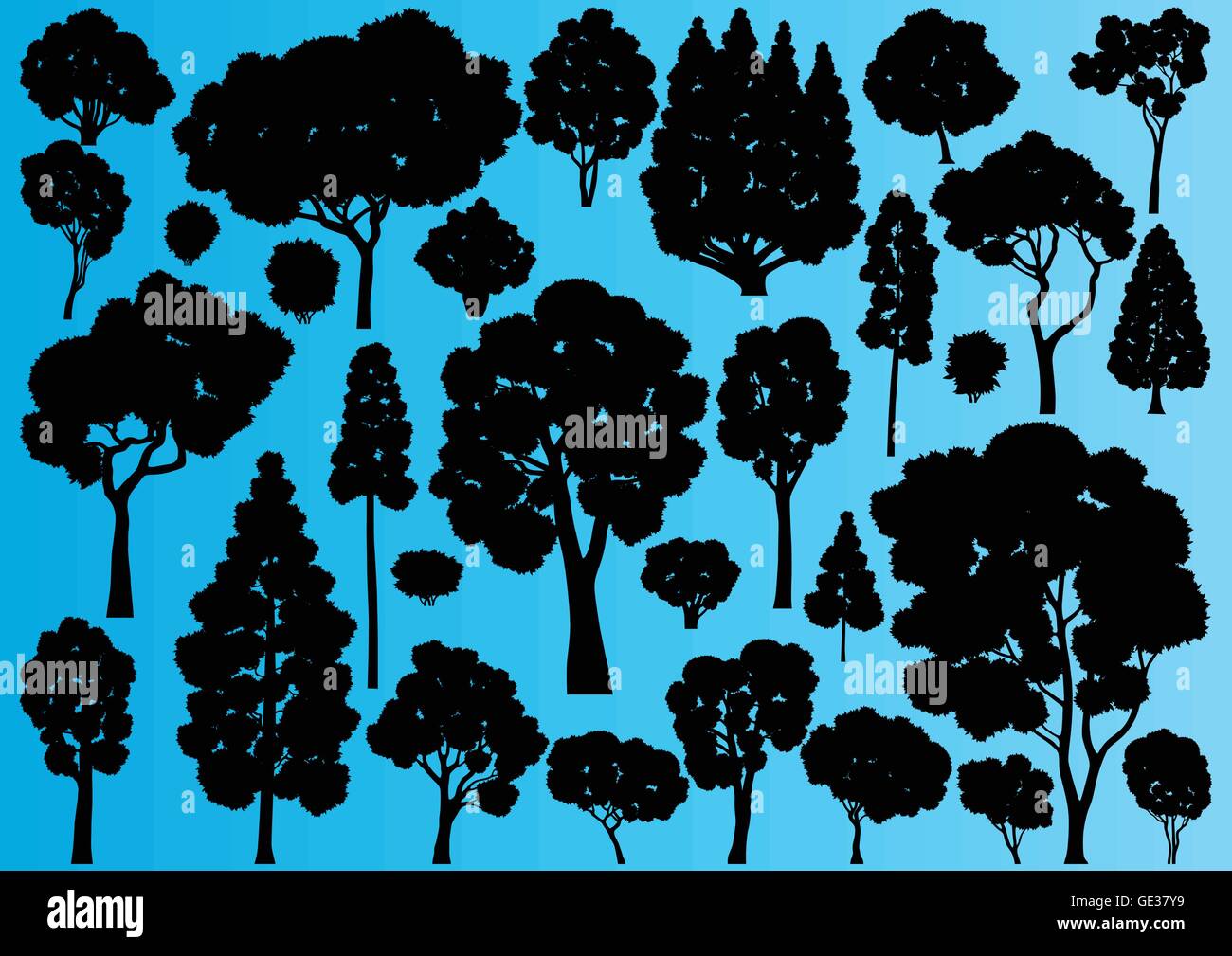 Forest trees silhouettes illustration collection background vector ...