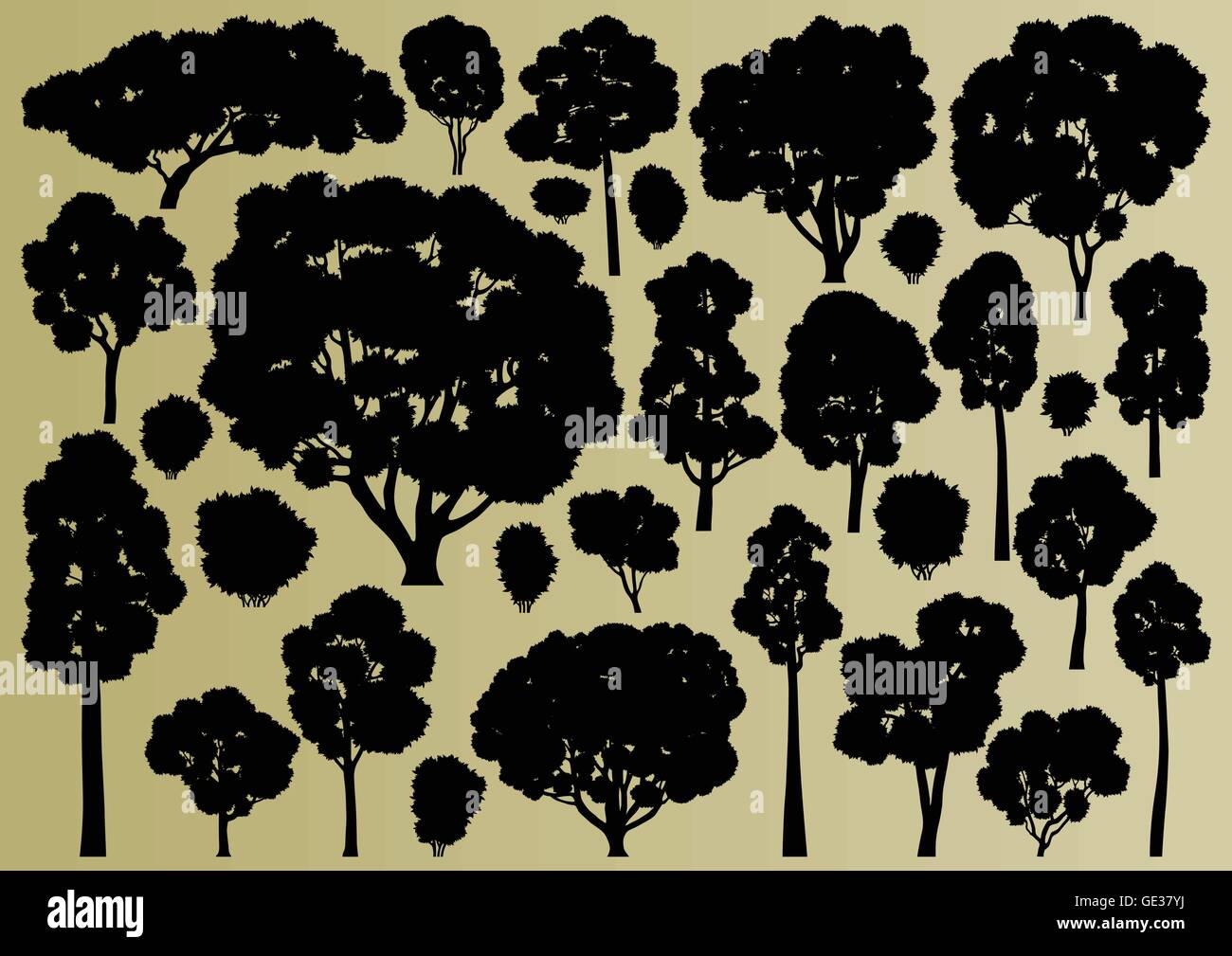 Forest trees silhouettes illustration collection background vector ...