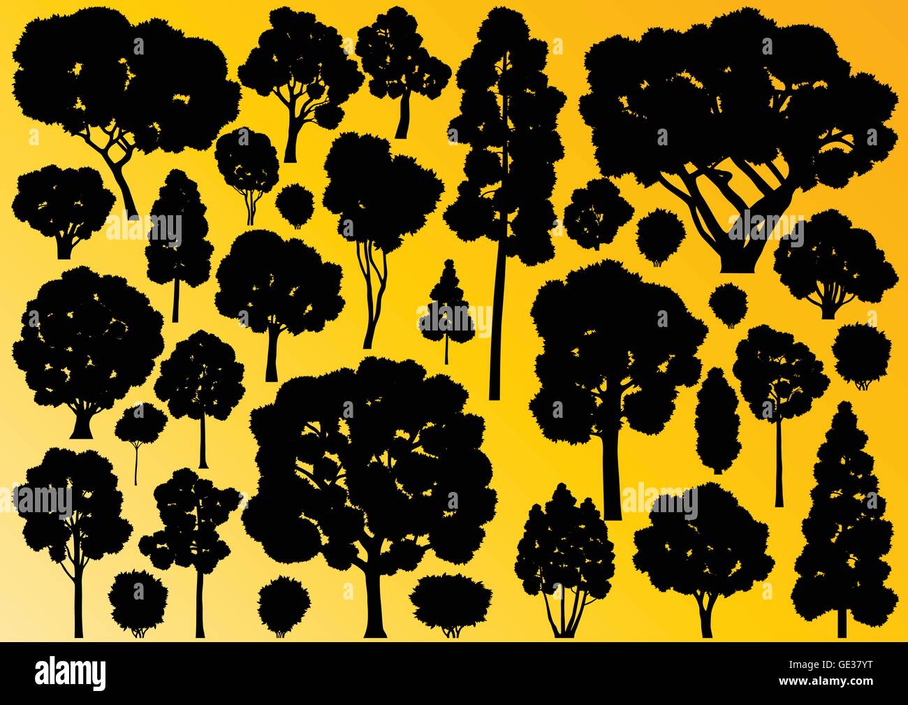 Forest trees silhouettes illustration collection background vector ...