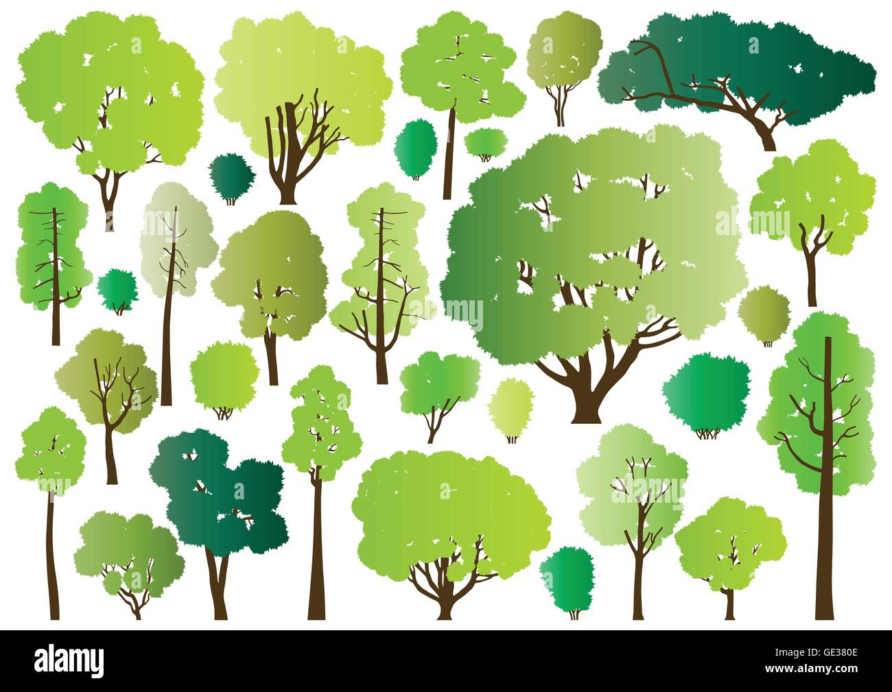 Forest trees silhouettes illustration collection background vector for ...