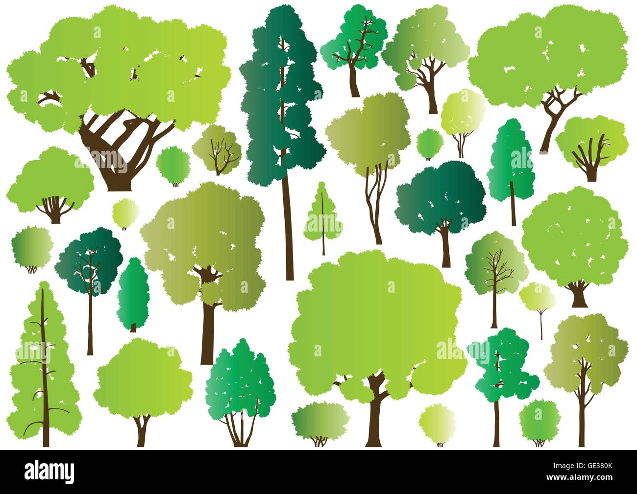 Forest trees silhouettes illustration collection background vector for ...