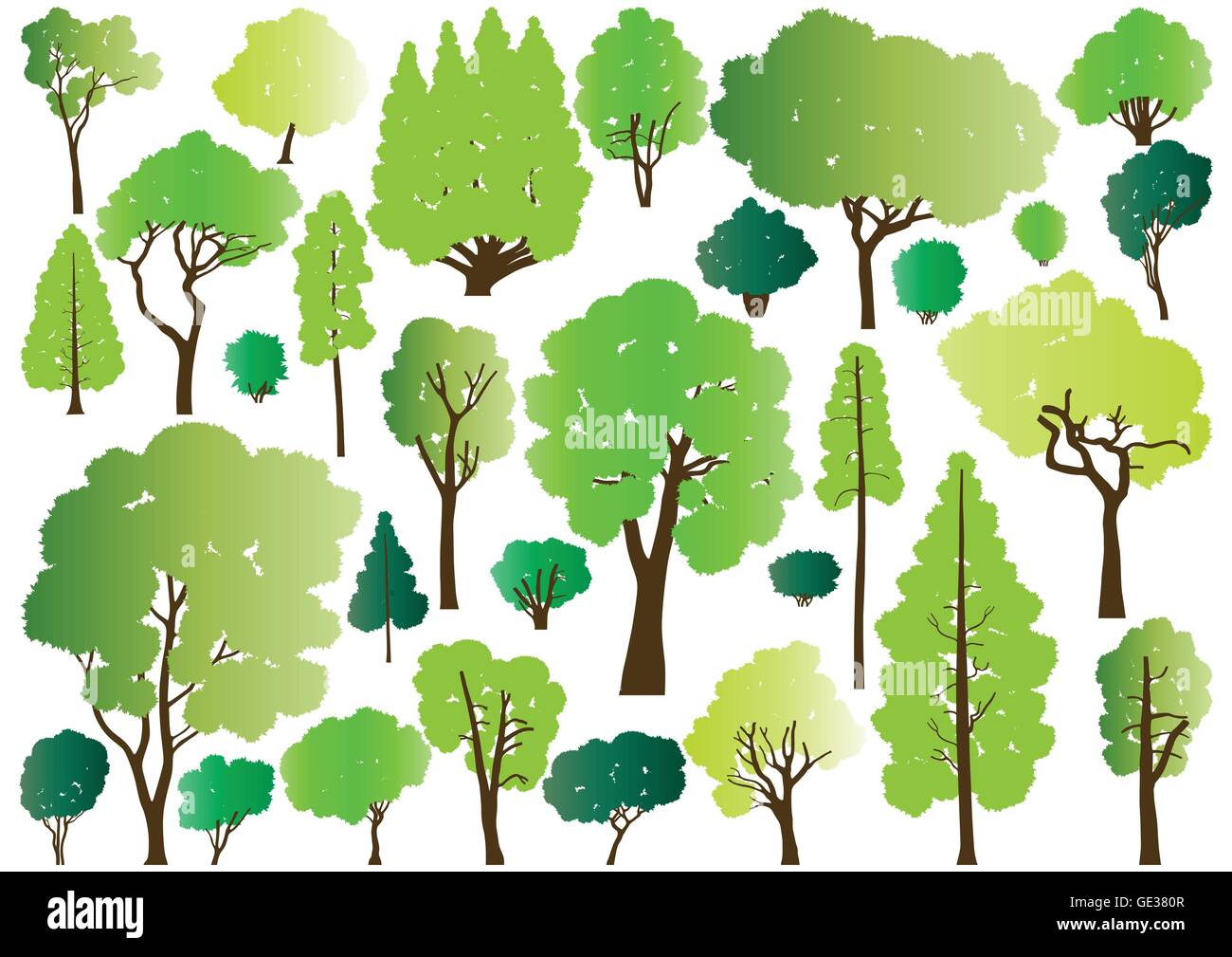 Forest trees silhouettes illustration collection background vector for ...