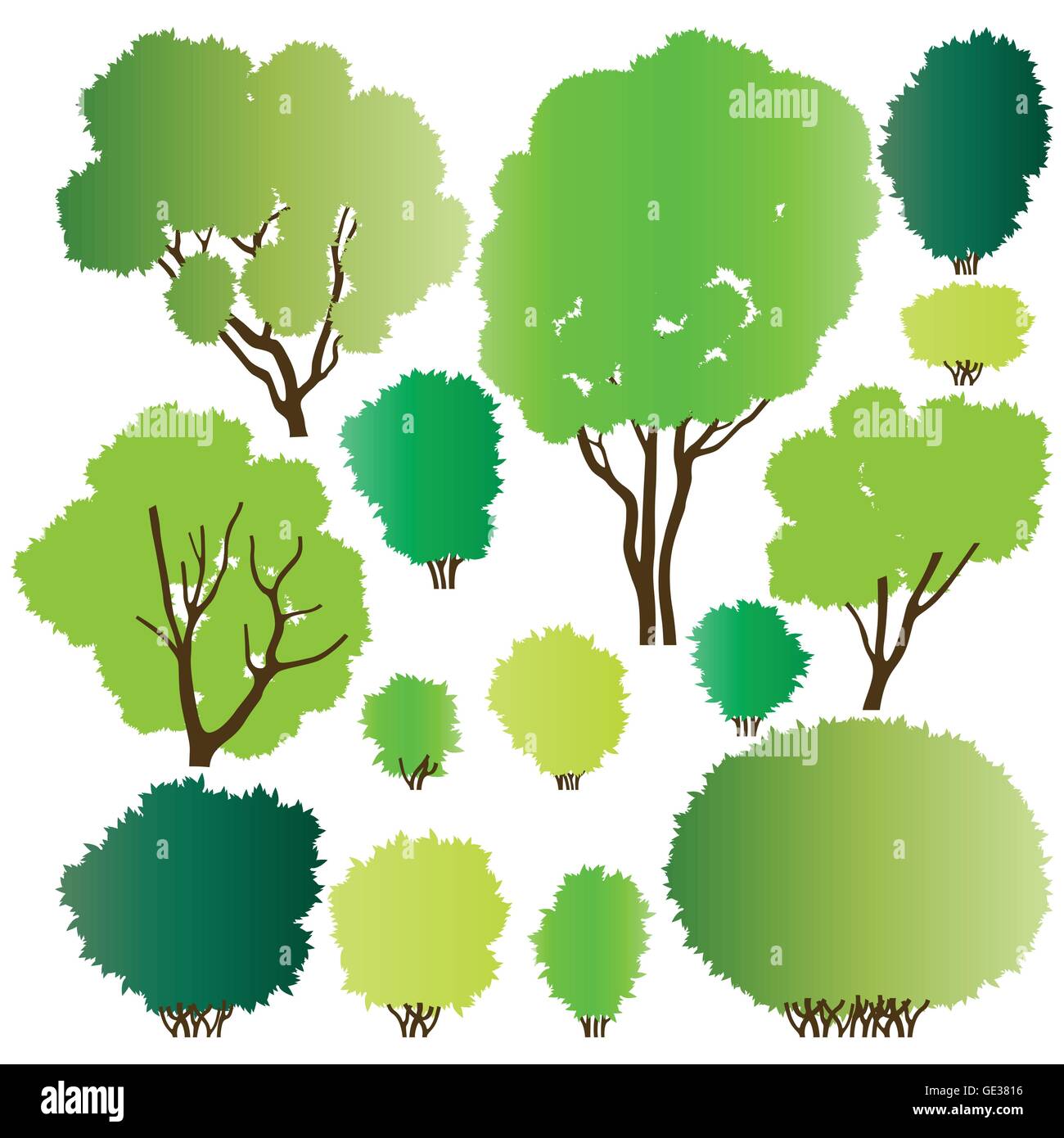 Forest trees silhouettes illustration collection background vector for ...