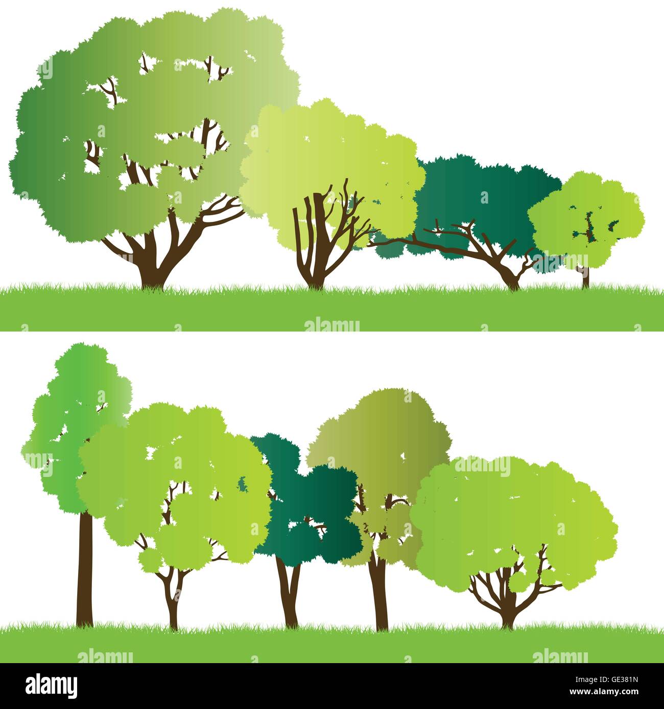 Forest trees silhouettes illustration collection background vector for ...
