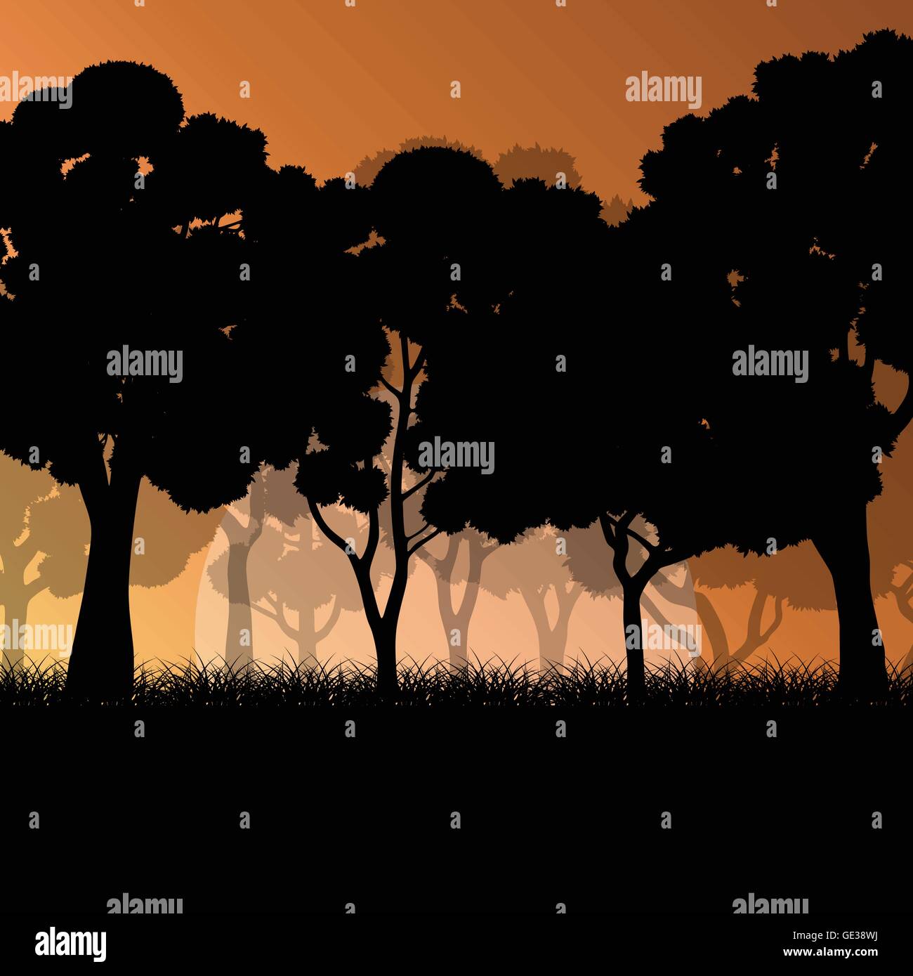Forest trees landscape sunrise vector background illustration mystery