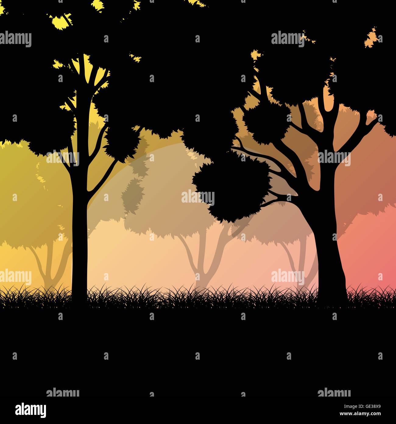 Forest trees landscape sunrise vector background illustration mystery