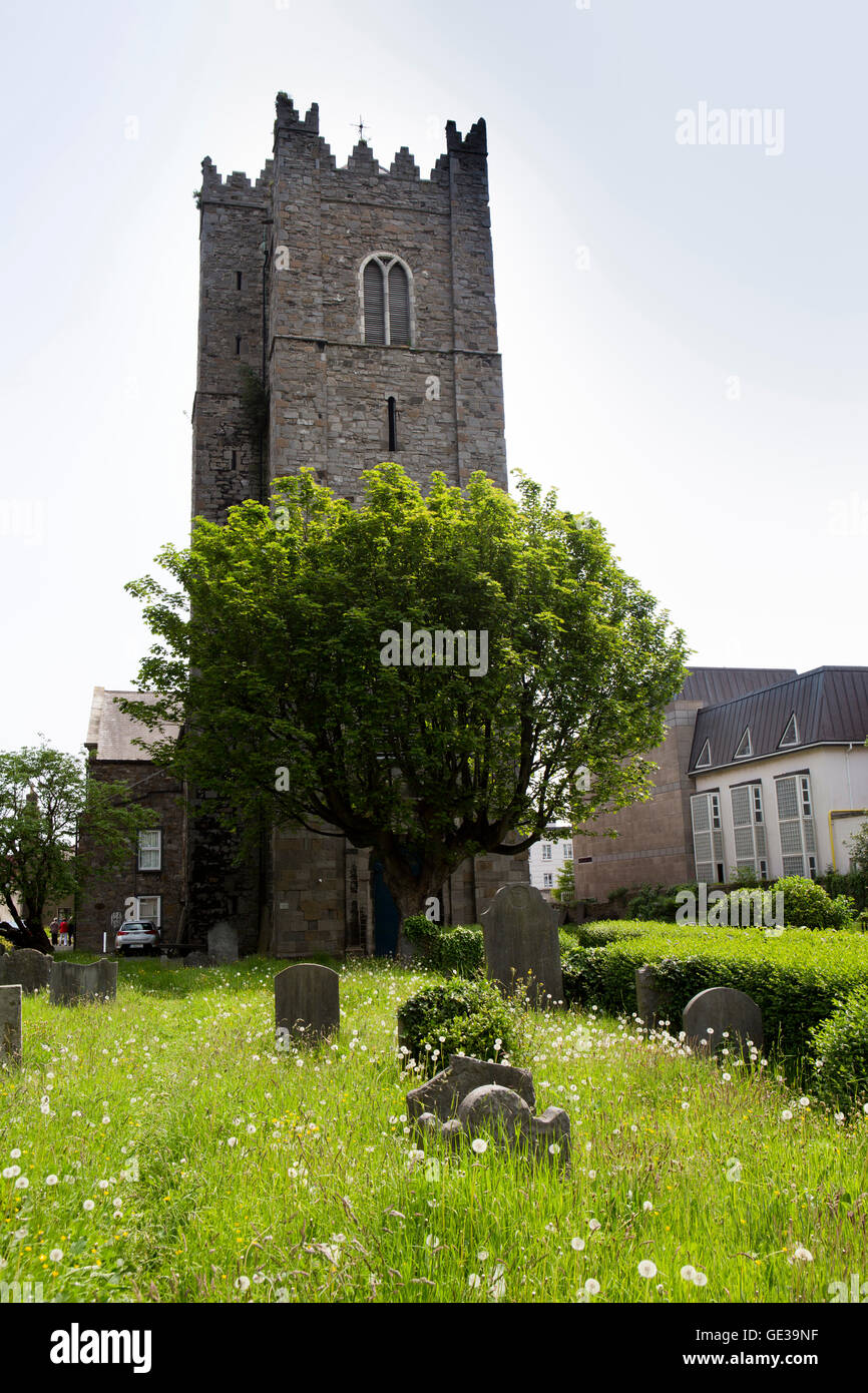 Ireland, Dublin, Smithfield, Church Street, St Michan’s 1095 Church and overgrown churchyard Stock Photo