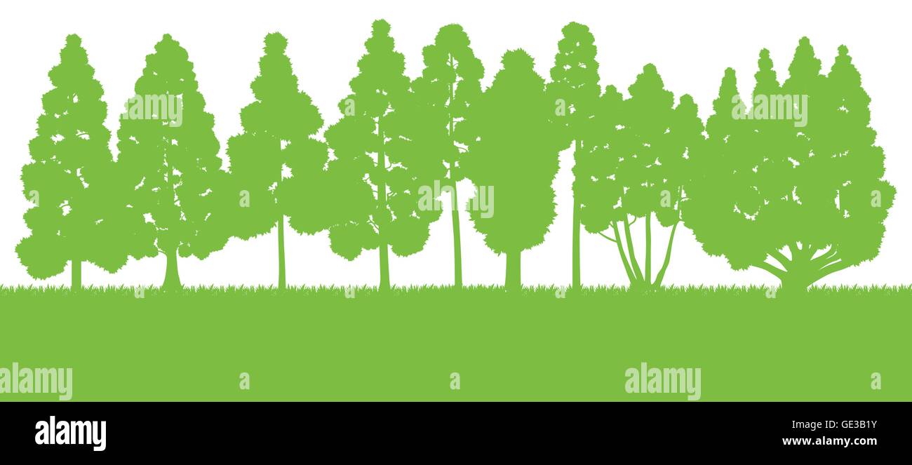 Forest trees silhouettes landscape illustration background vector card ...