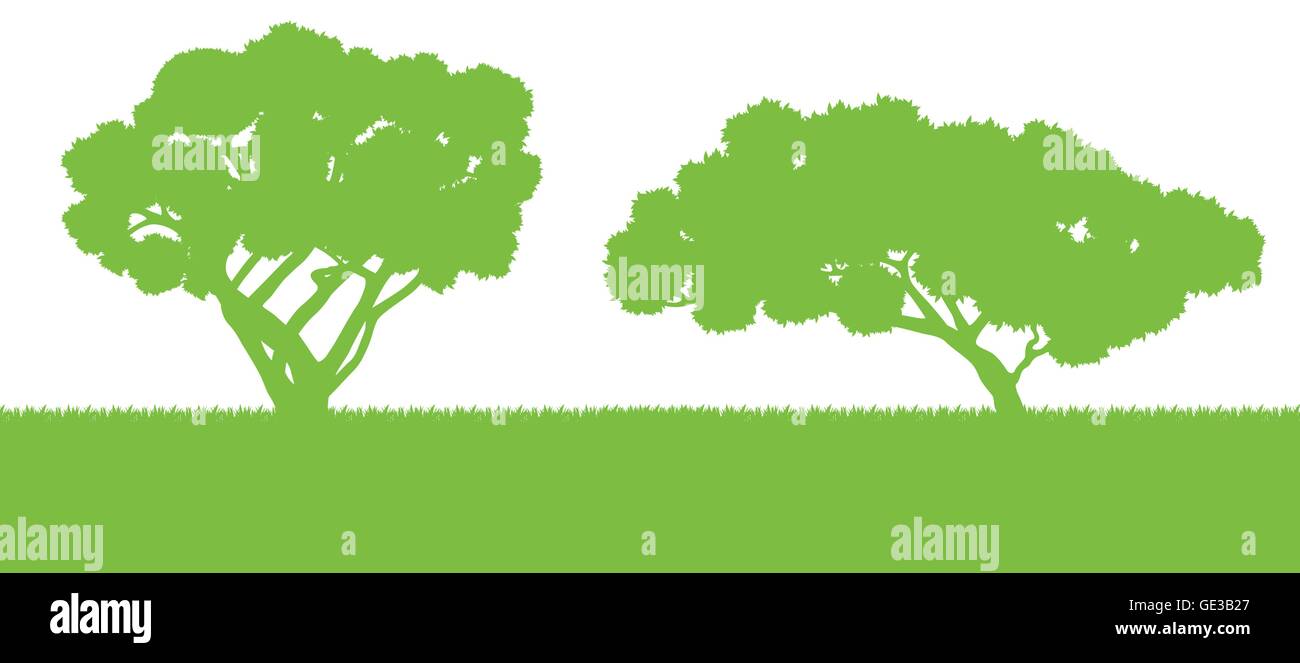 Forest trees silhouettes landscape illustration background vector card ...