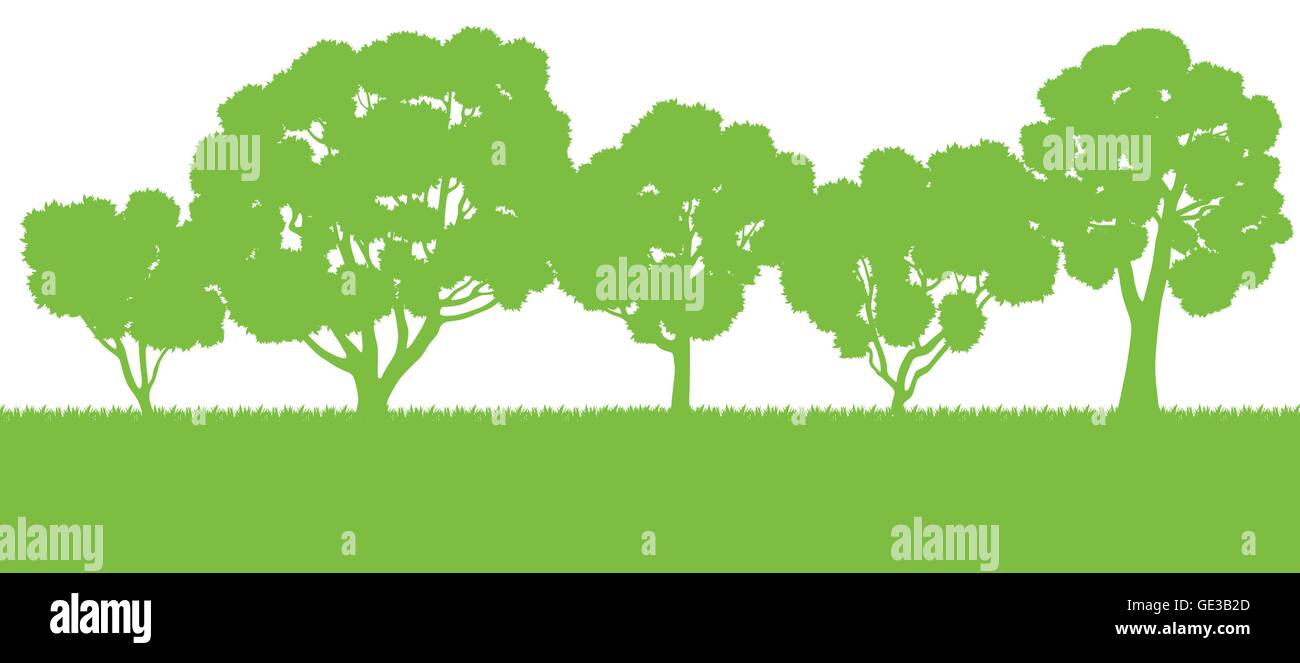 Forest trees silhouettes landscape illustration background vector card ...