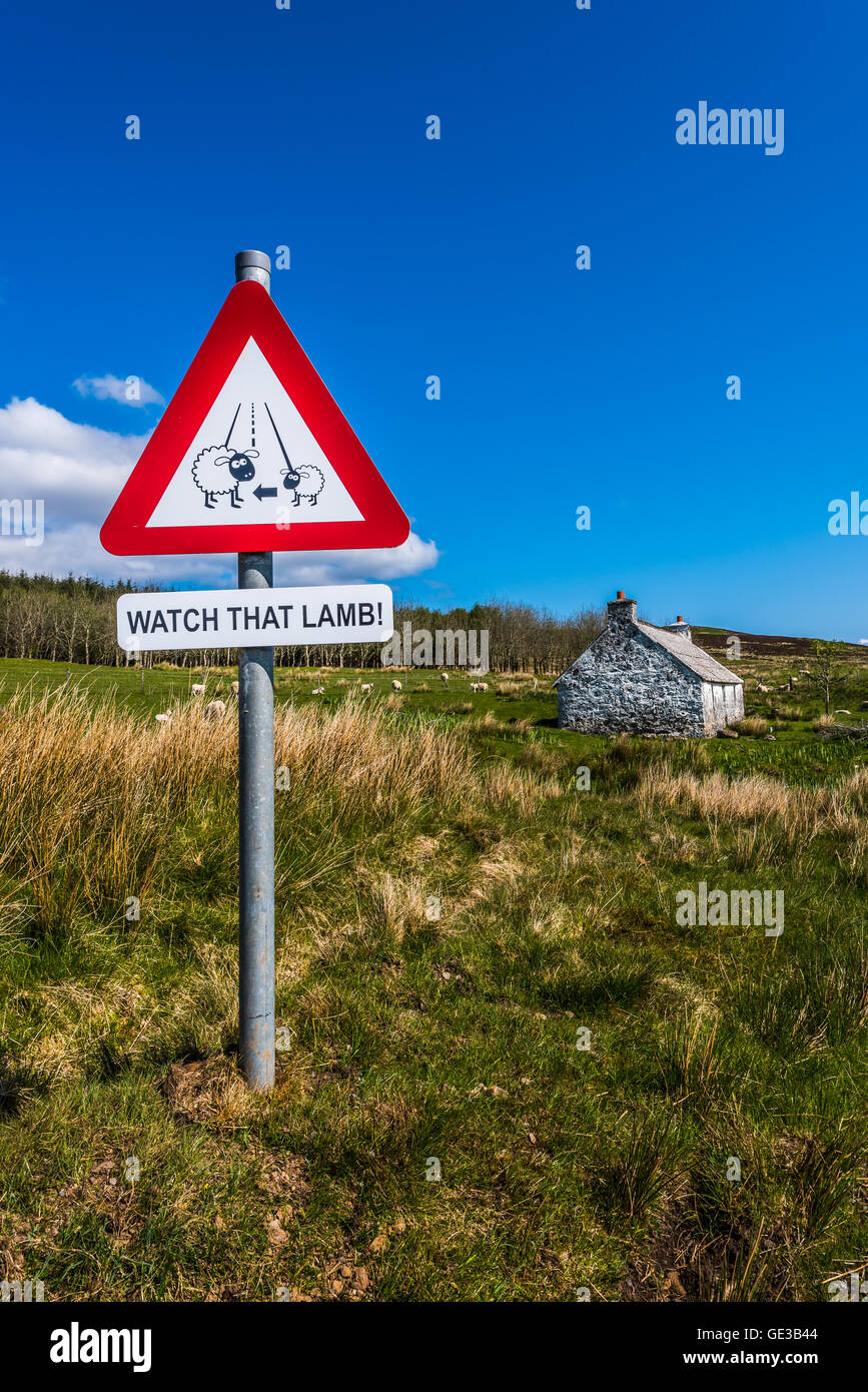 A sign post at the edge of a road during the lambing season in Scottish Highlands Stock Photo