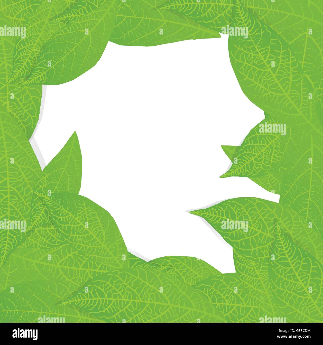 Green leaves background vector for poster Stock Vector Image & Art - Alamy