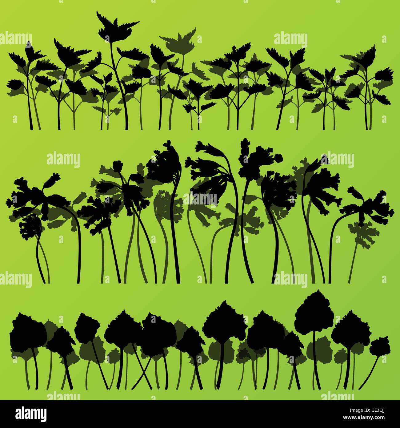 Field larkspur Stock Vector Images - Alamy