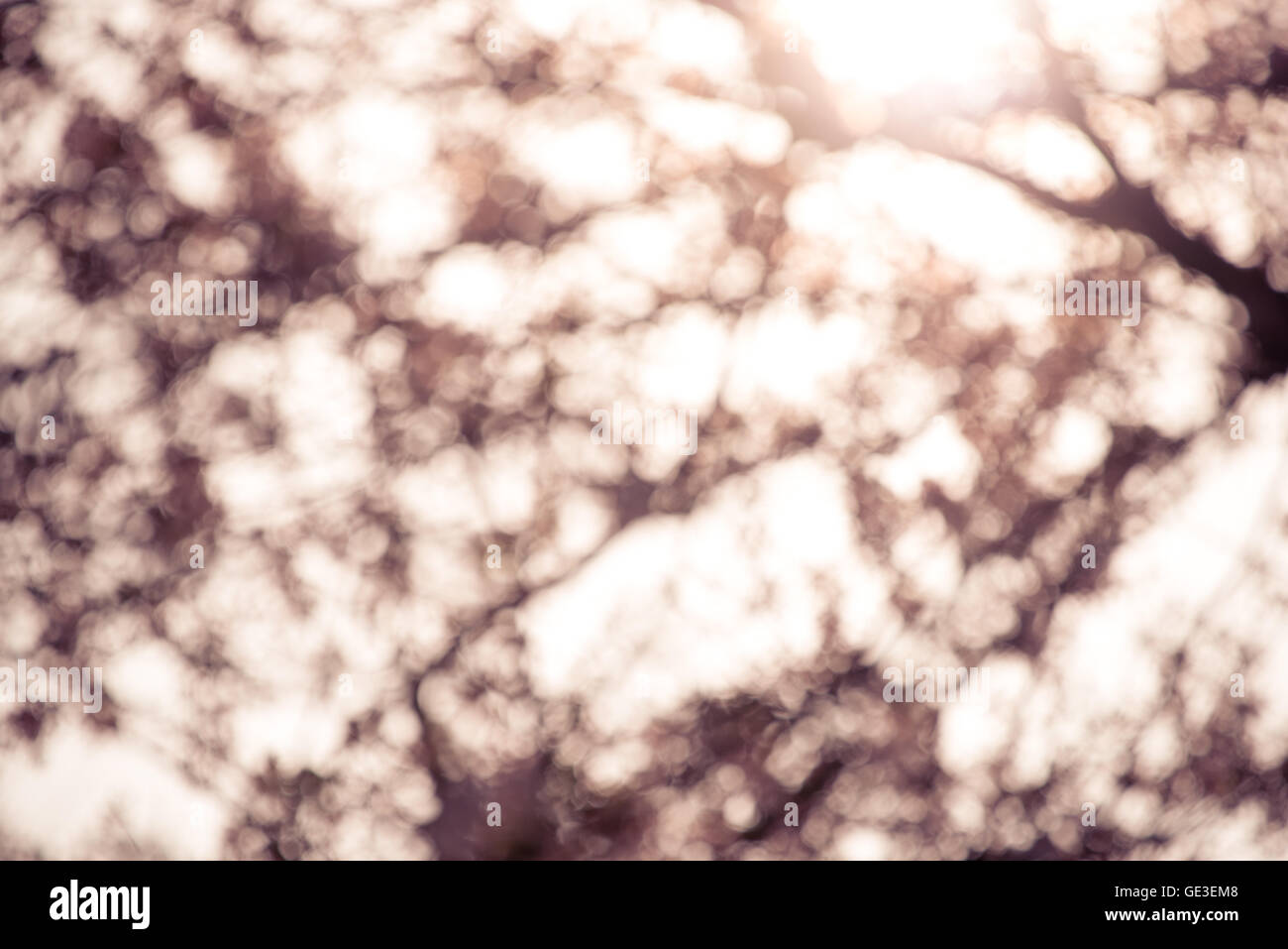 Color and bokeh hi-res stock photography and images - Alamy