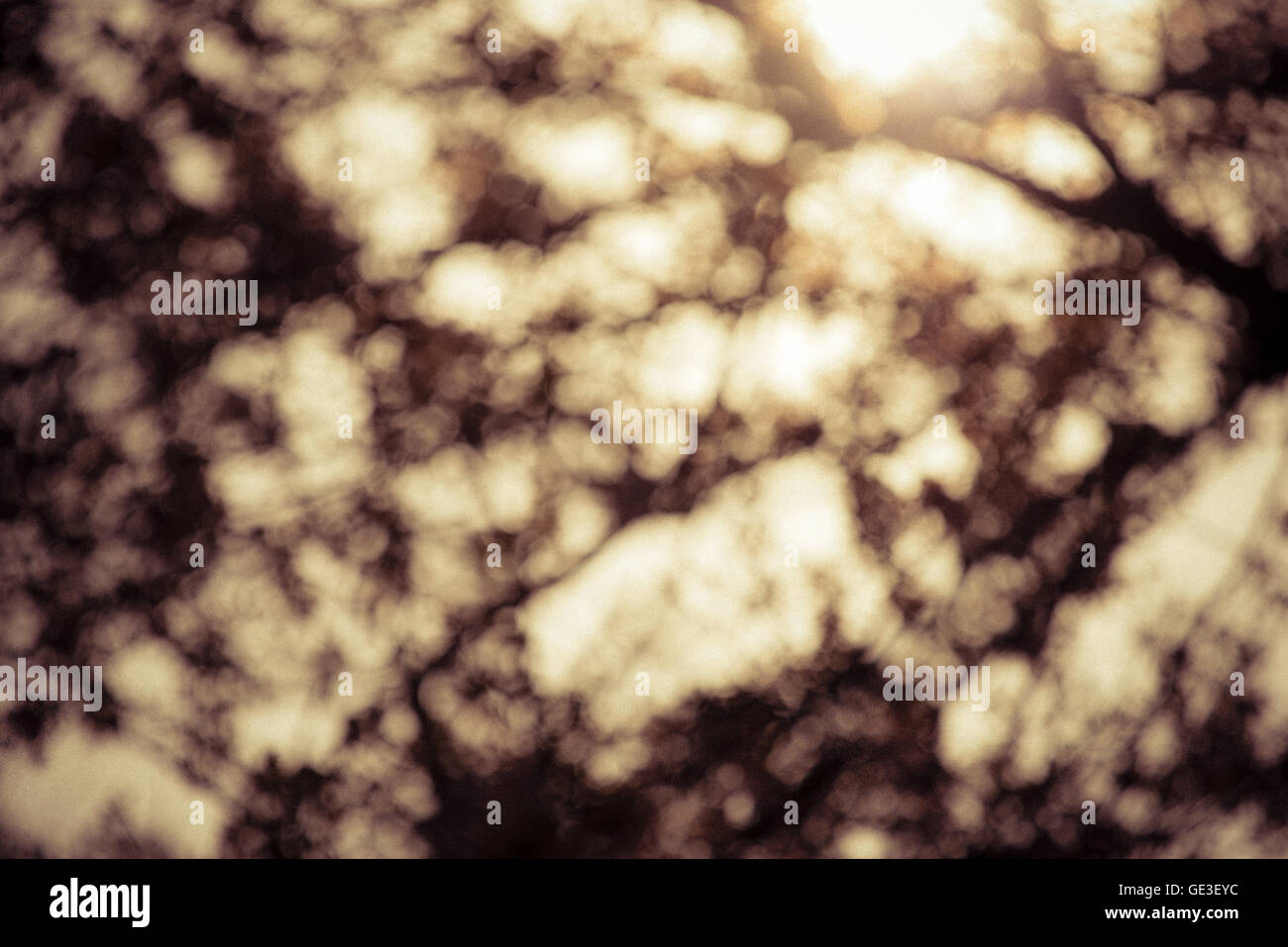 Color and bokeh hi-res stock photography and images - Alamy