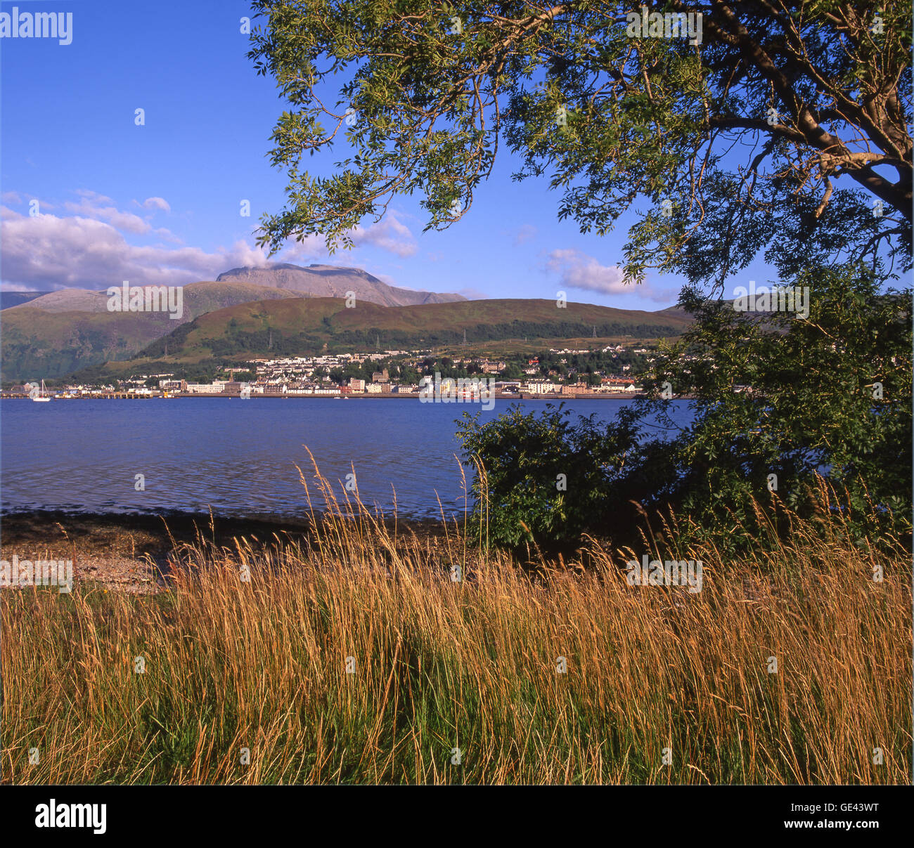 Fort William from across Loch Linnhe, Lochaber, Scotland Stock Photo