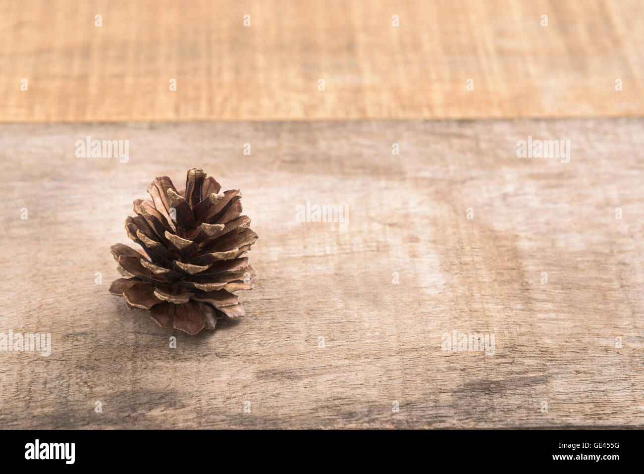 Pine cones on wooden background Stock Photo
