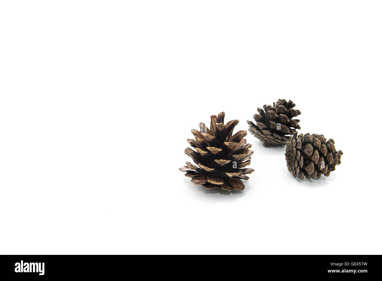 brown pine cone isolated on white background Stock Photo - Alamy