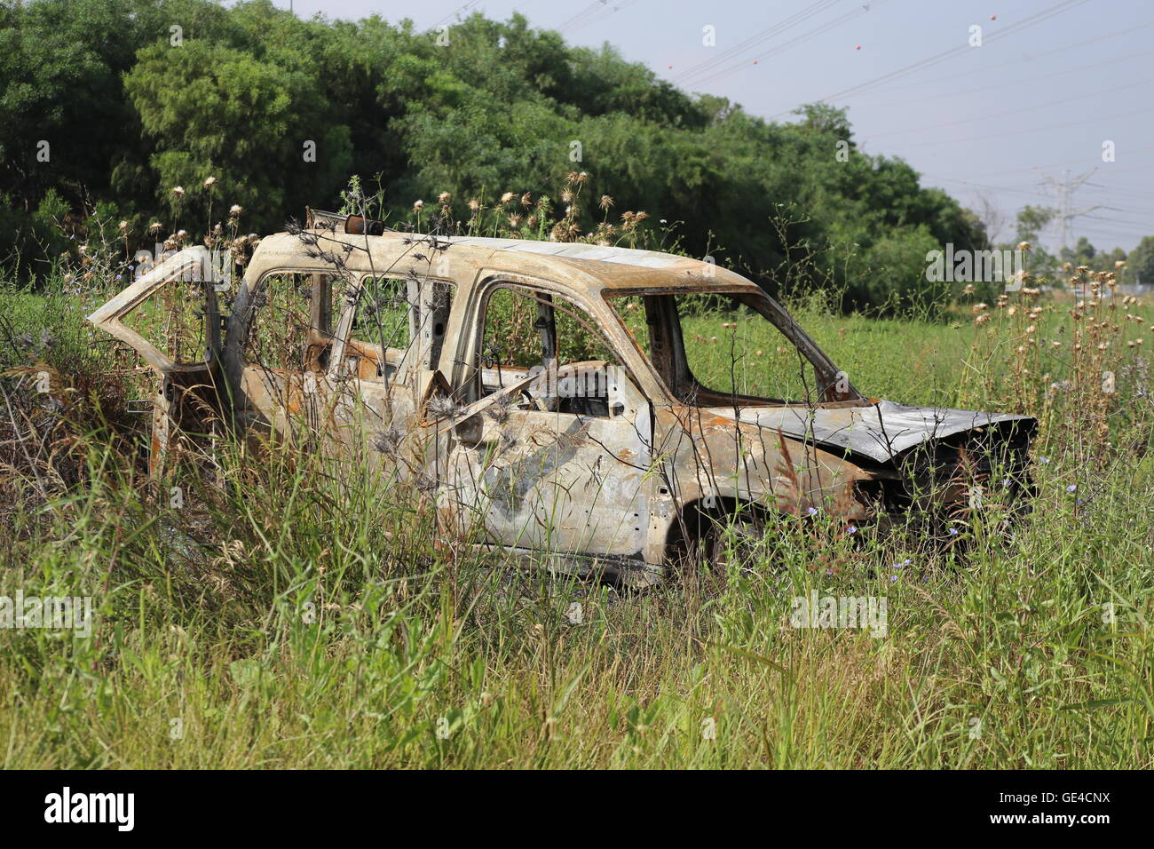 Burned Car. Burned car in a field.  Close up of burned down car chassis in a field of thorns. Stock Photo