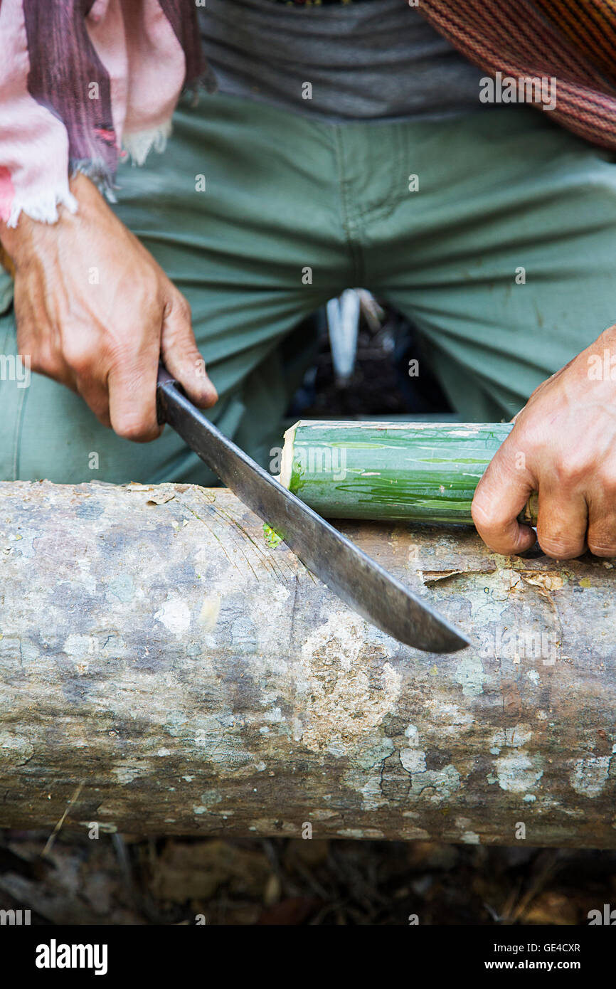 Man sawing bamboo in Chiang Mai, Thailand Stock Photo