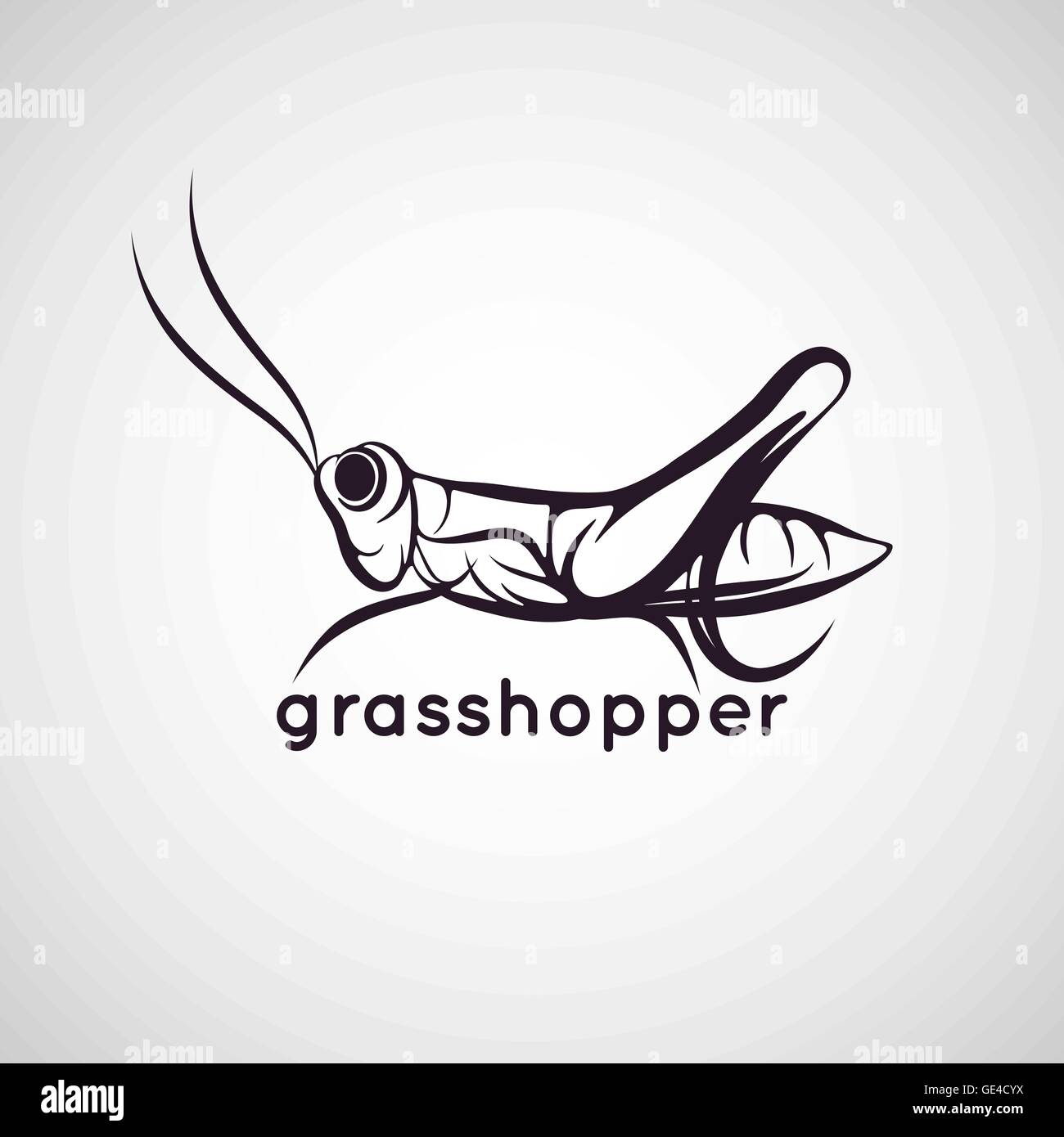 Grasshopper Logo Vector Stock Vector Image Art Alamy