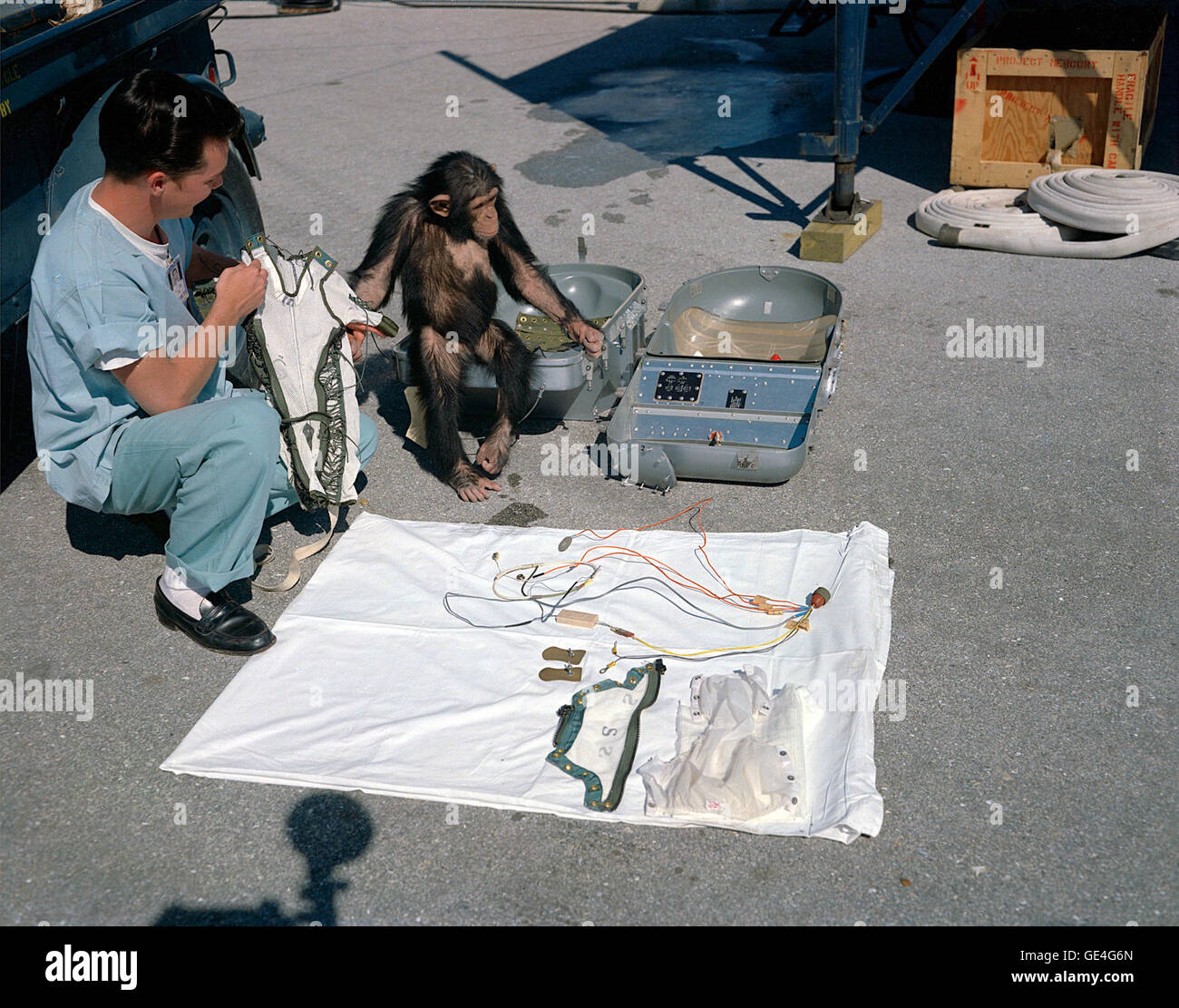 Chimpanzee Ham and technician go over equipment in preparation for launch.  Image # : 61C-0109 Stock Photo