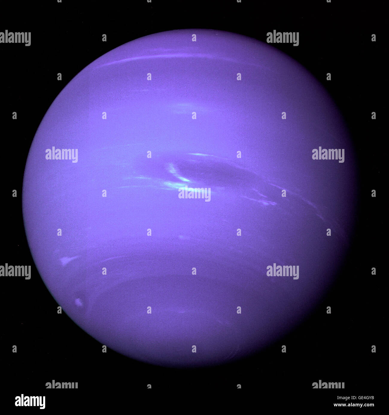 This picture of Neptune was produced from the last whole planet images taken through the green and orange filters on the Voyager 2 narrow angle camera. The images were taken at a range of 4.4 million miles from the planet, 4 days and 20 hours before closest approach. The picture shows the Great Dark Spot and its companion bright smudge; on the west limb the fast moving bright feature called Scooter and the little dark spot are visible. These clouds were seen to persist for as long as Voyager's cameras could resolve them. North of these, a bright cloud band similar to the south polar streak may Stock Photo