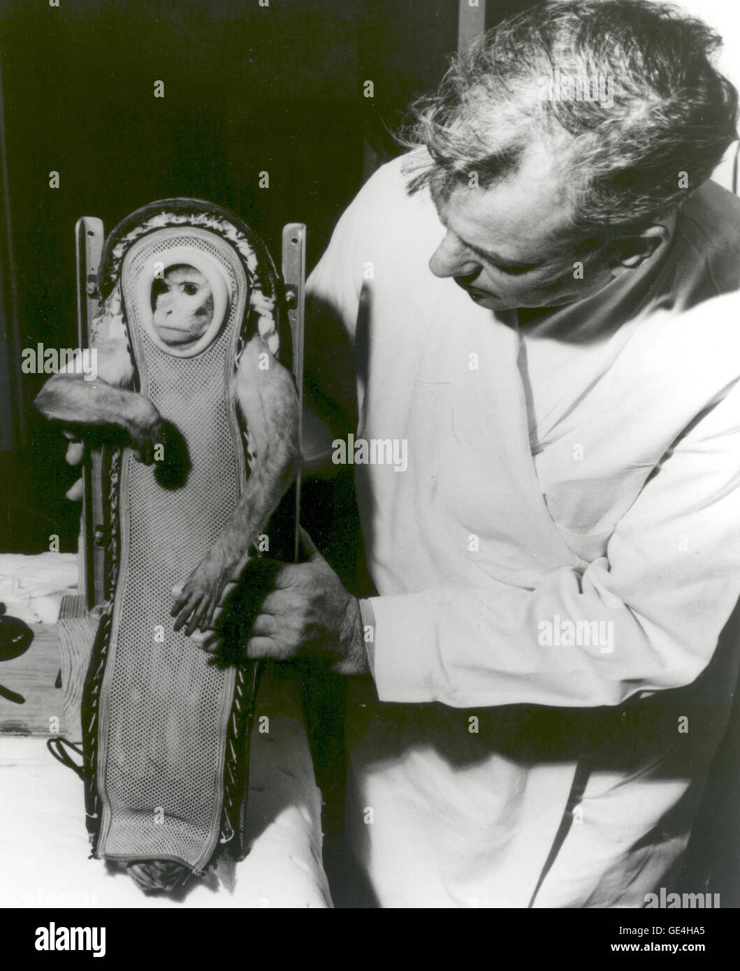 (December 4, 1959) Sam, the Rhesus monkey, after his ride in the Little Joe-2 (LJ-2) spacecraft. A U.S. Navy destroyer safely recovered Sam after he experienced three minutes of weightlessness during the flight. Animals were often used during test flights for Project Mercury to help determine the effects of spaceflight and weightlessness on humans. LJ-2 was one in a series of flights that led up to the human orbital flights of NASA's Project Mercury program. The Little Joe rocket booster was developed as a cheaper, smaller, and more functional alternative to the Redstone rockets. Little Joe co Stock Photo