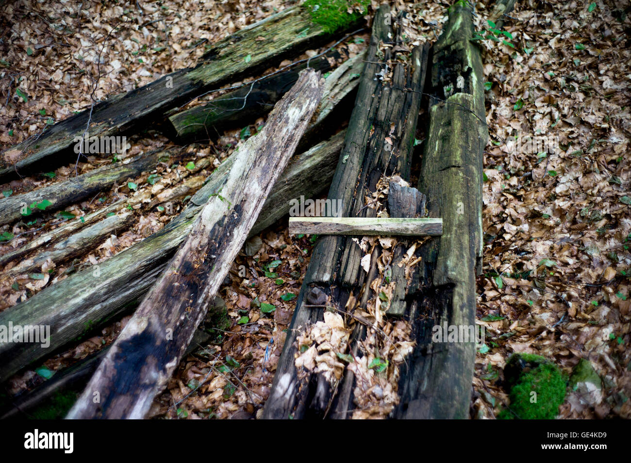 Argonne Forest, WWI battlefield France. July 2016 Abri Kron Prinz