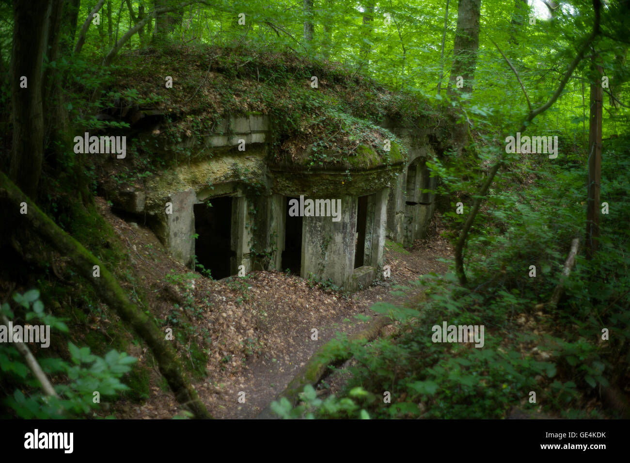 Argonne Forest, WWI battlefield France. July 2016 Abri Kron Prinz 