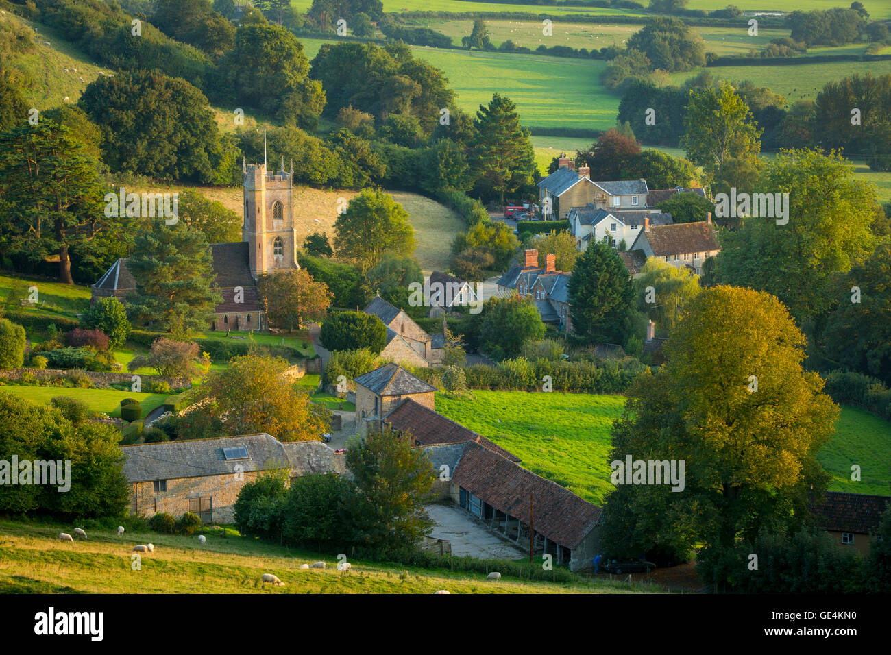 Evening sunlight over Corton Denham, Somerset, England Stock Photo