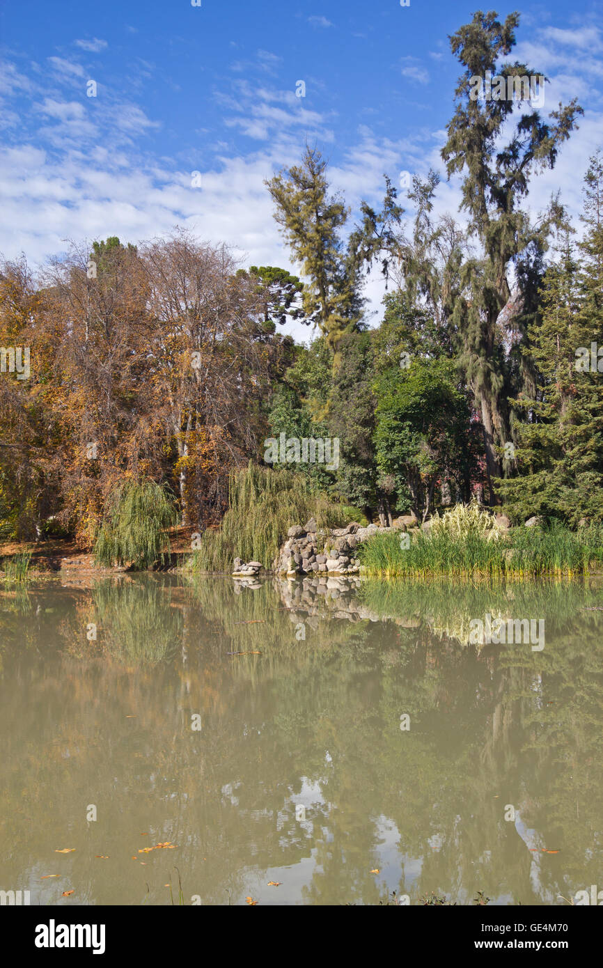 Lake and trees with reflections Stock Photo - Alamy
