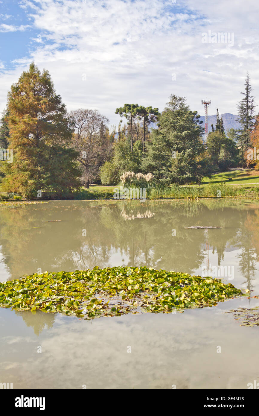 Lake and trees with reflections Stock Photo - Alamy